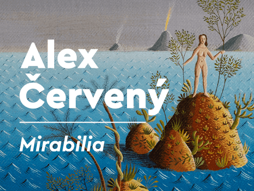 Imagem do evento Alex Cerveny: Mirabilia