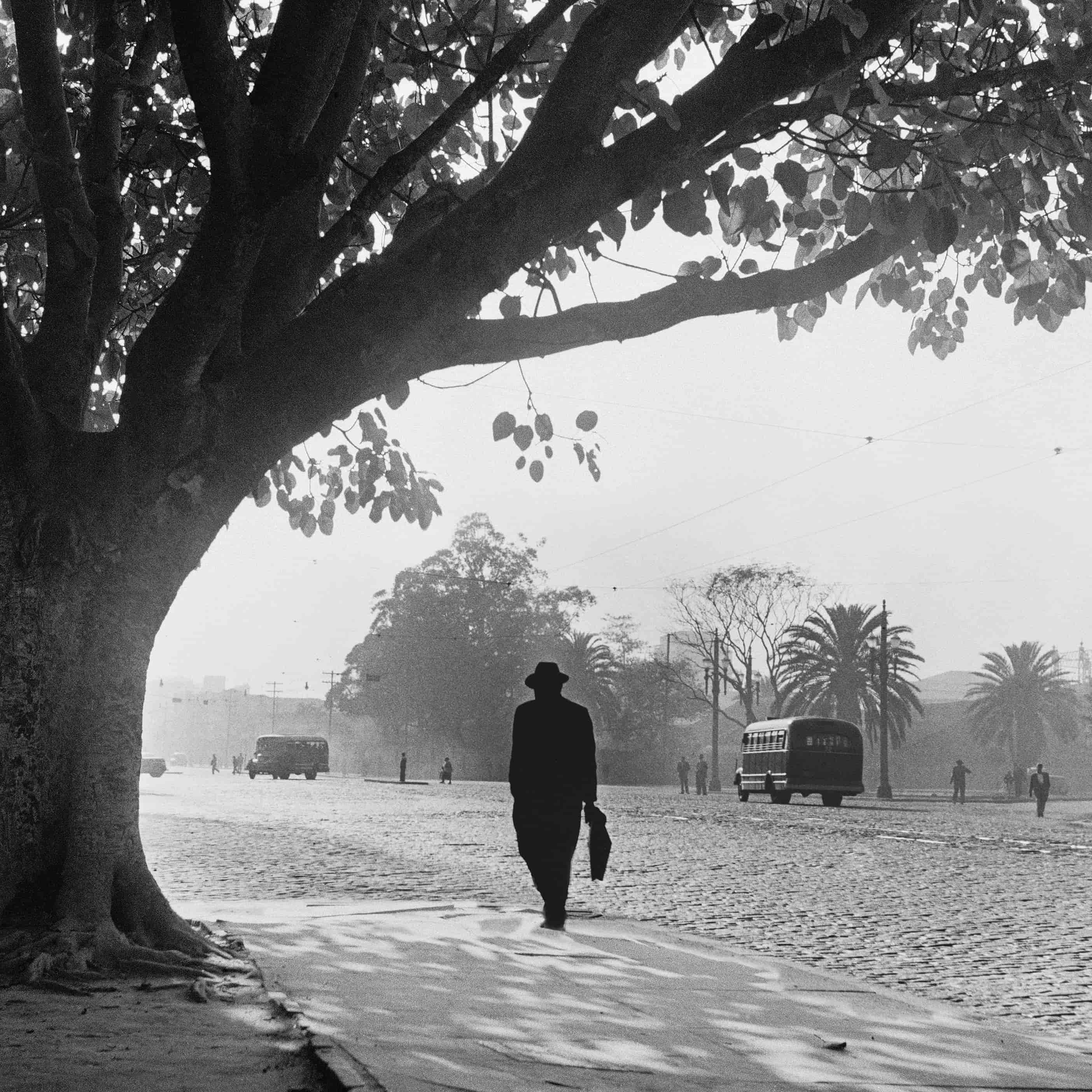 Banner do evento MAIO FOTOGRAFIA NO MIS 2025