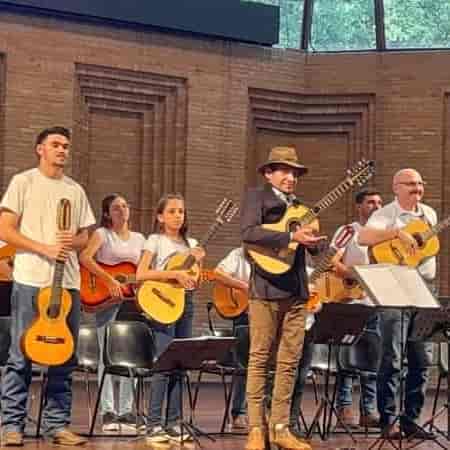 Banner do evento Apresentação da Orquestra de Violas "Rio Pardo"
