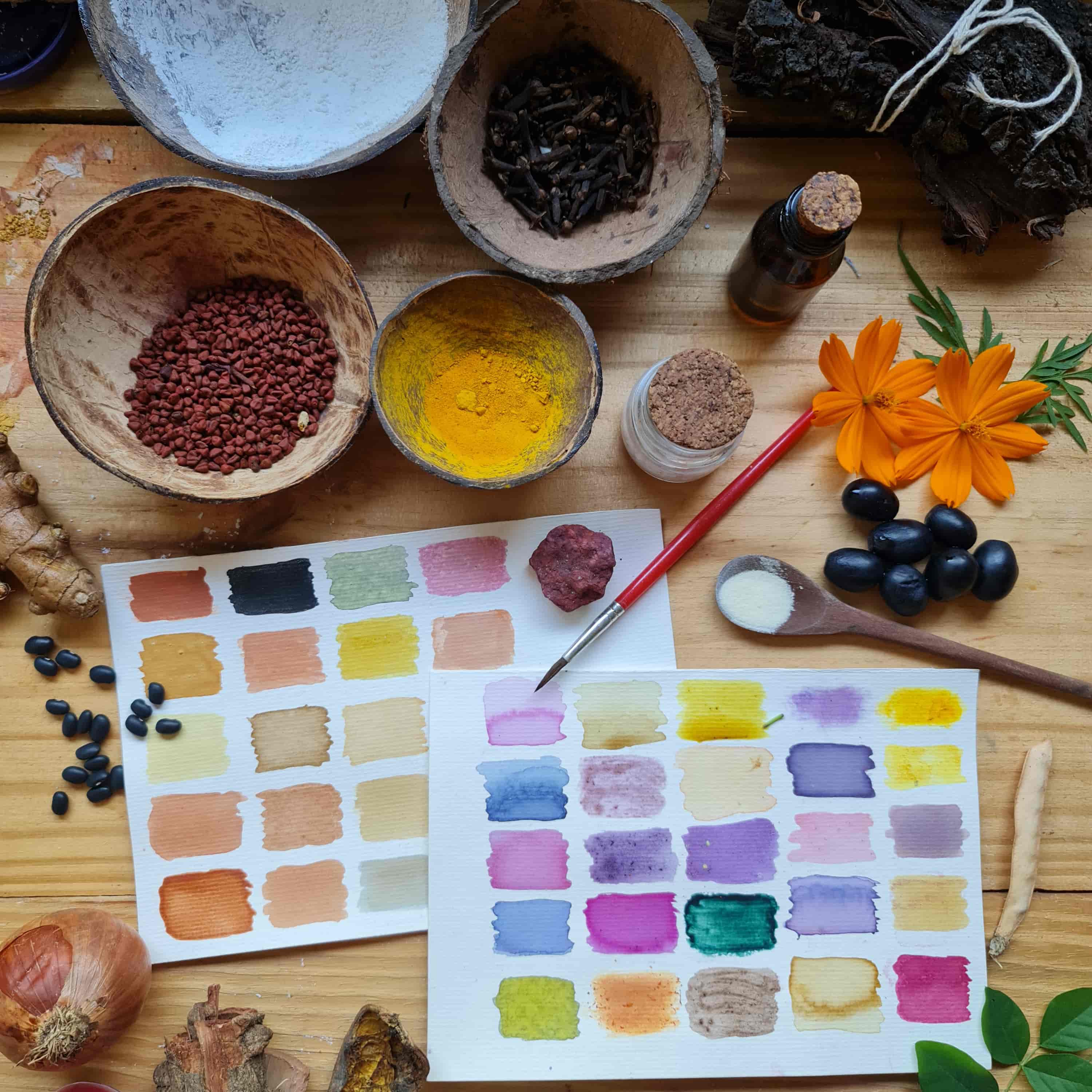 Imagem do evento Tintas da Natureza: produção de materiais artísticos com cores vegetais e minerais