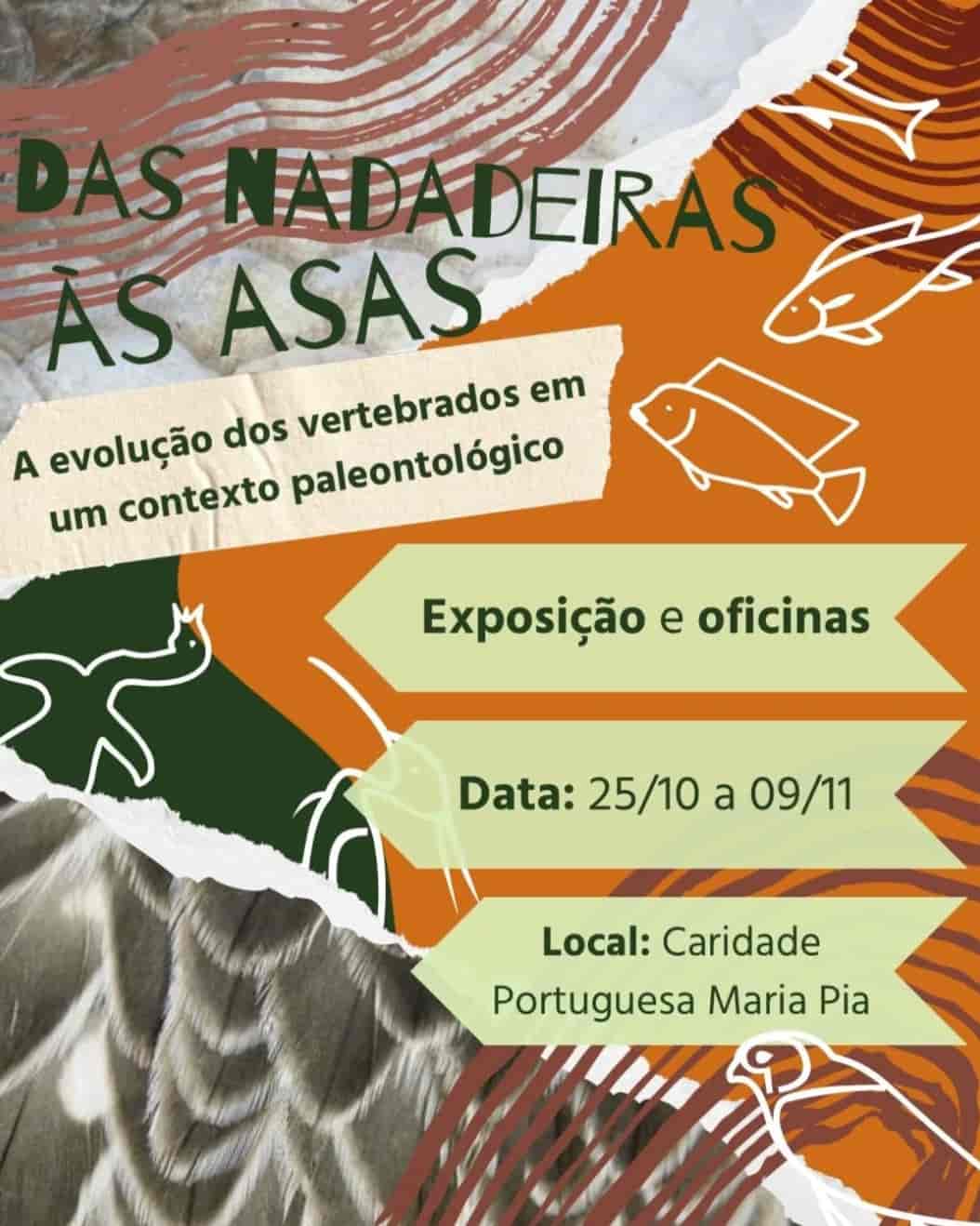 Imagem do evento 🐟🦅 EXPOSIÇÃO | Das Nadadeiras às Asas  