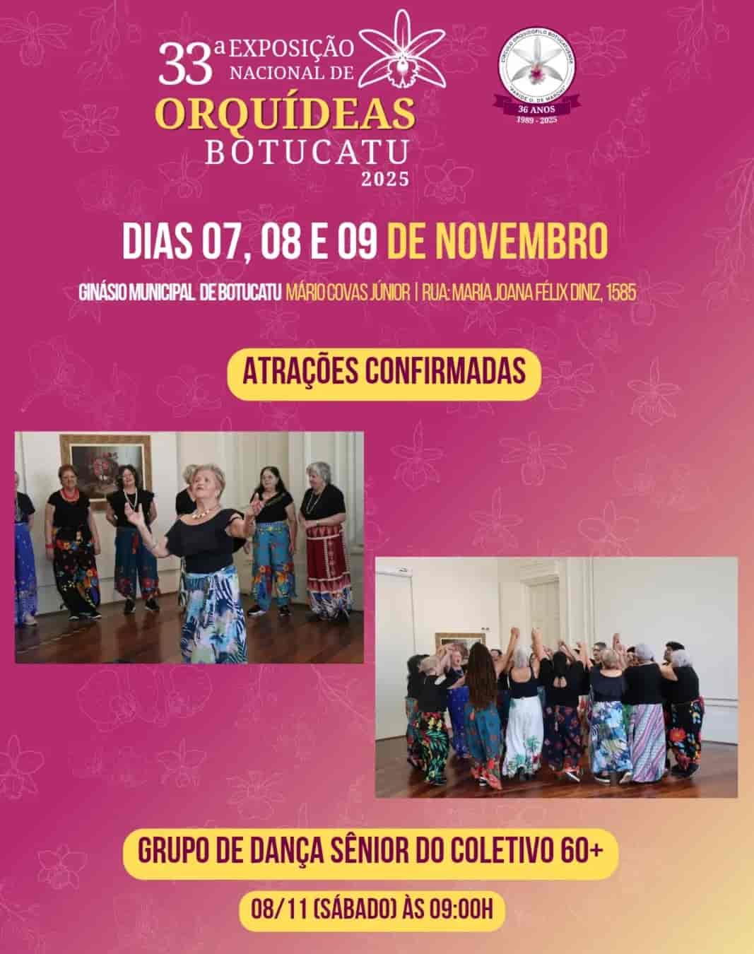 Imagem do evento GRUPO DE DANÇA SÊNIOR DO COLETIVO 60+