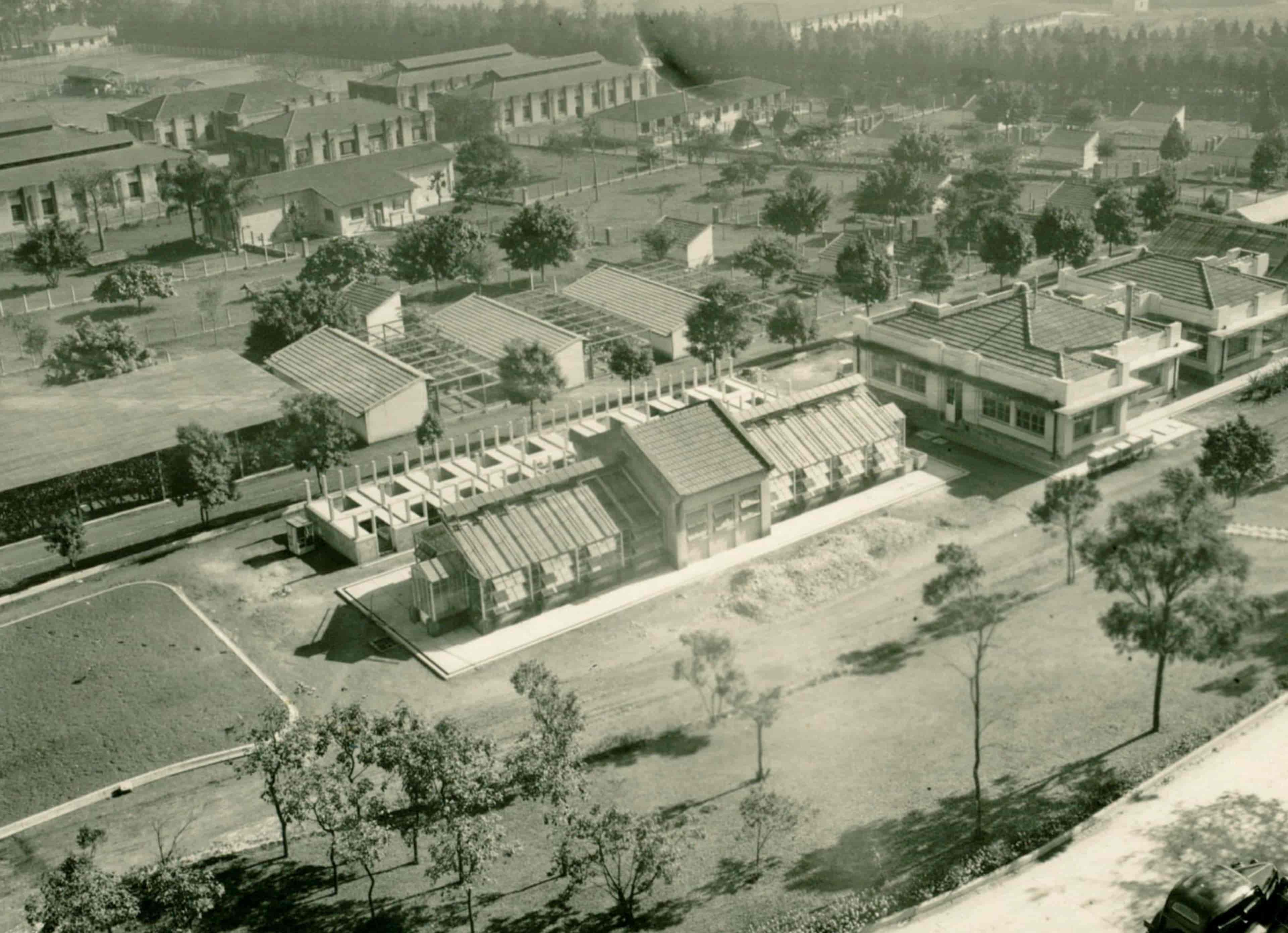 Imagem do evento Projeto de Arquitetura e Restauro - Estufas de Vidro do Instituto Biológico 