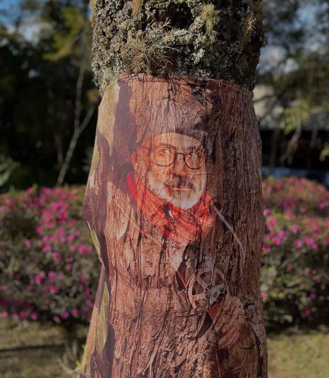 Imagem do evento Exposição "Floresta de Retratos”, por Marcio Scavone