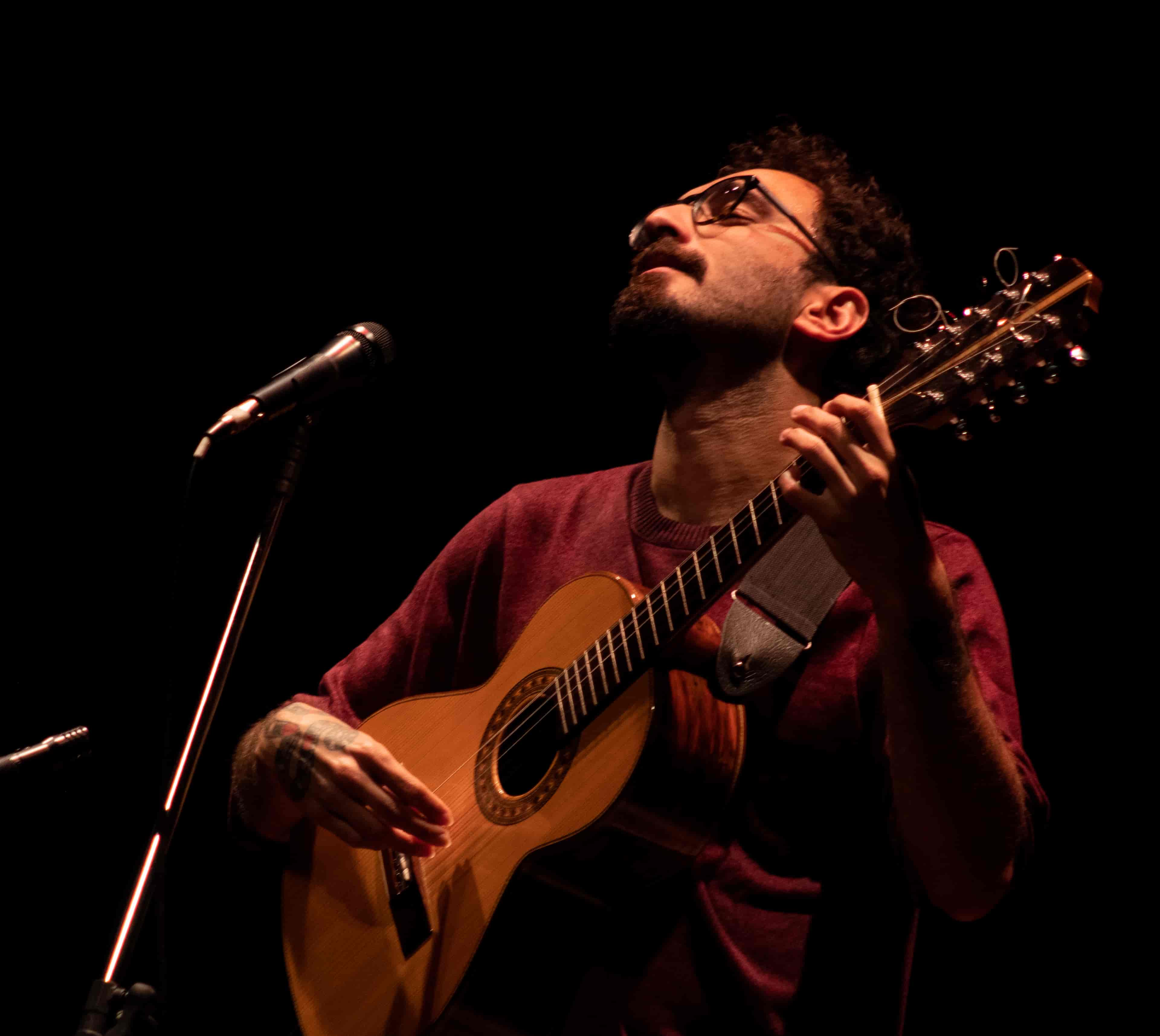 Imagem do evento Férias no Museu: "Passeio do Lobo Guará", de Rafael Gonzá