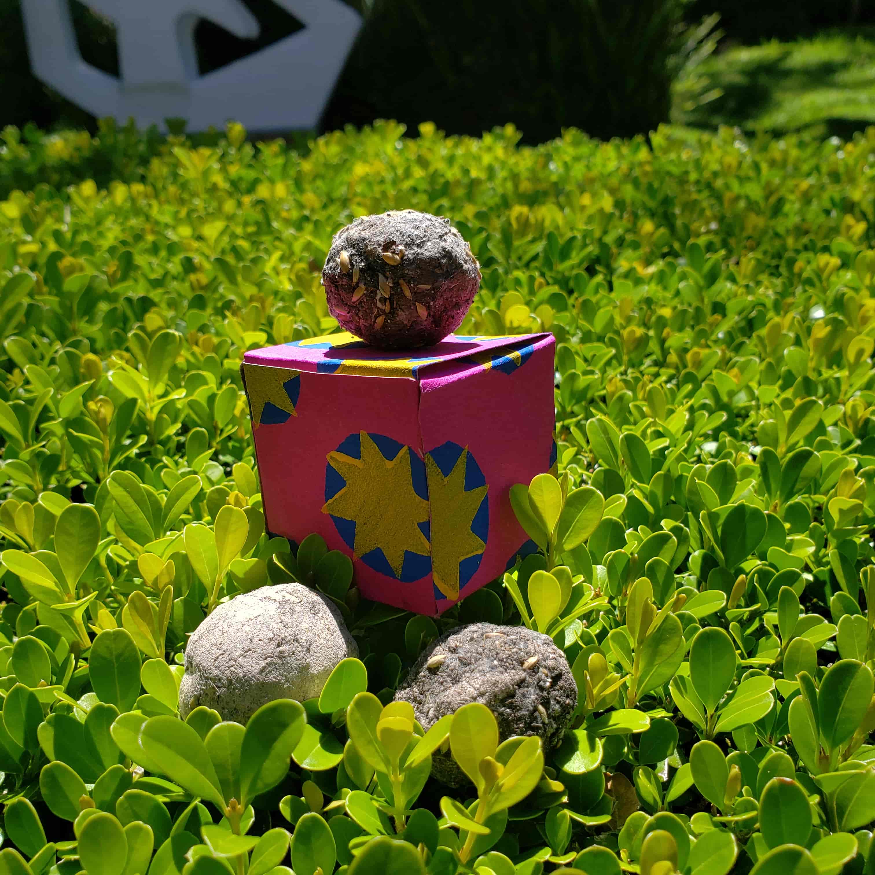 Imagem do evento Oficina temática: Semear é Criar