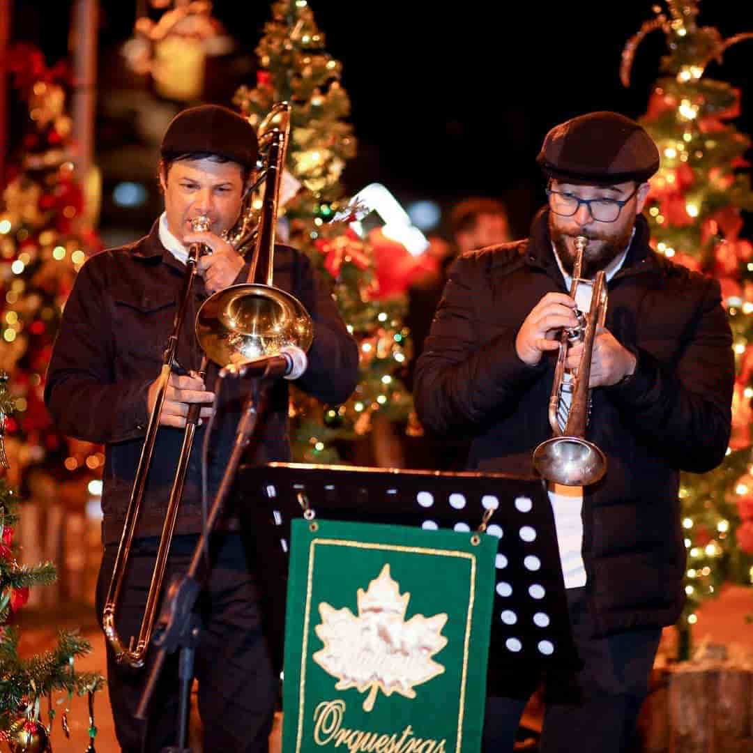 Imagem do evento Férias no Museu: Espetáculo Itinerante "Quinteto”
