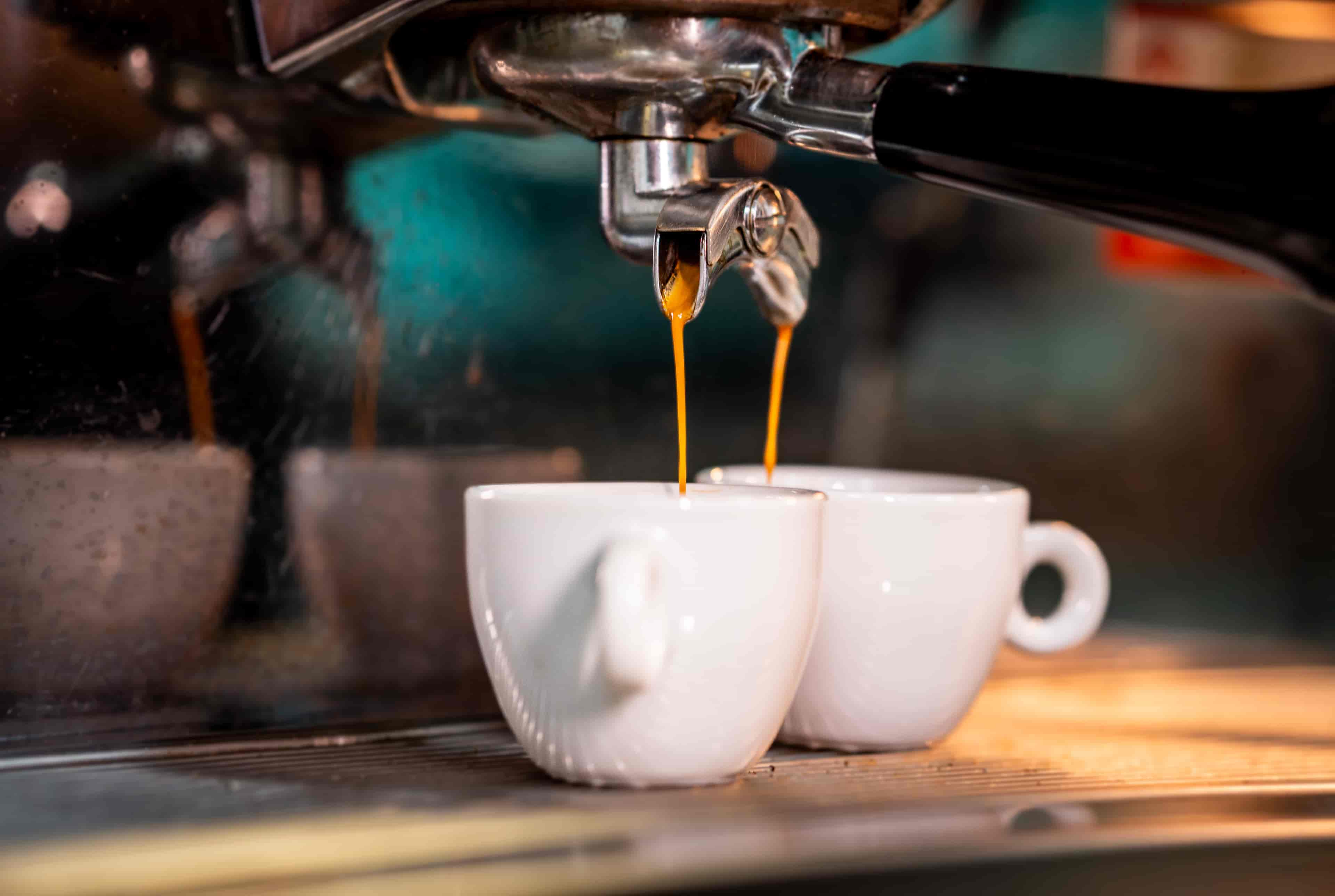 Imagem do evento Programação Cultural | Café À Prova - Mapeando Sabores 