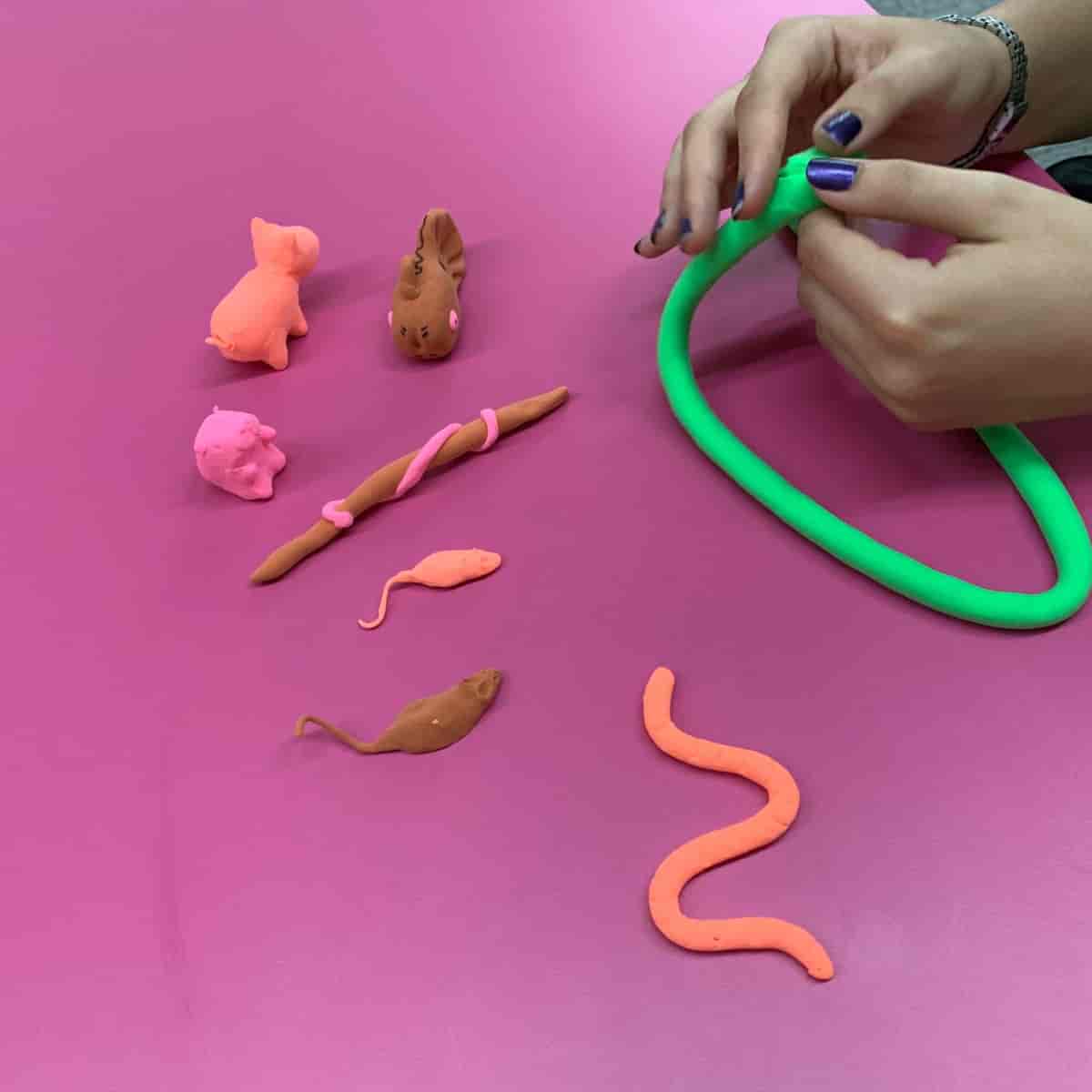 Imagem do evento Visita Temática Que Bicho É Esse?