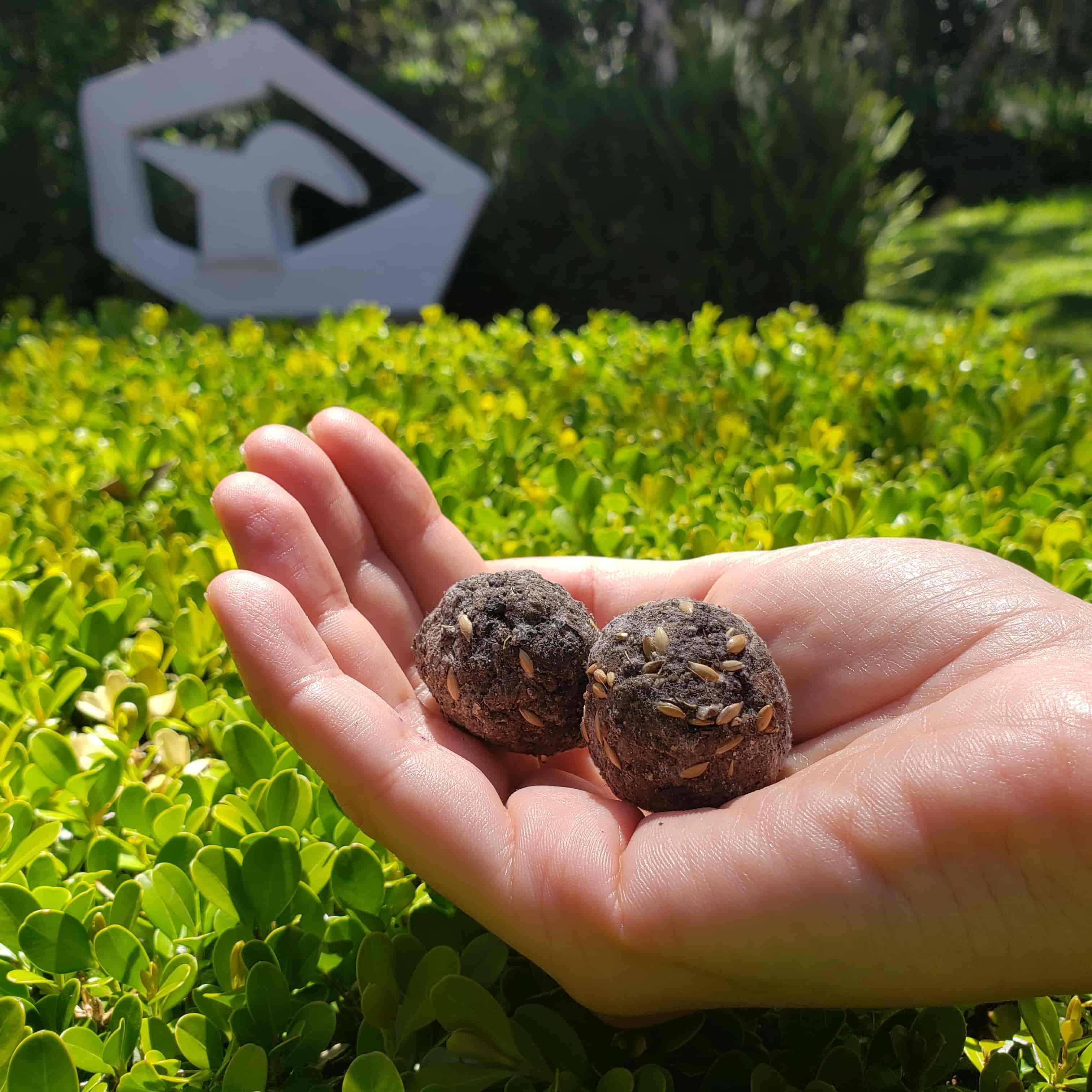 Imagem do evento "Família no Museu Virtual: “Semear é Criar” "