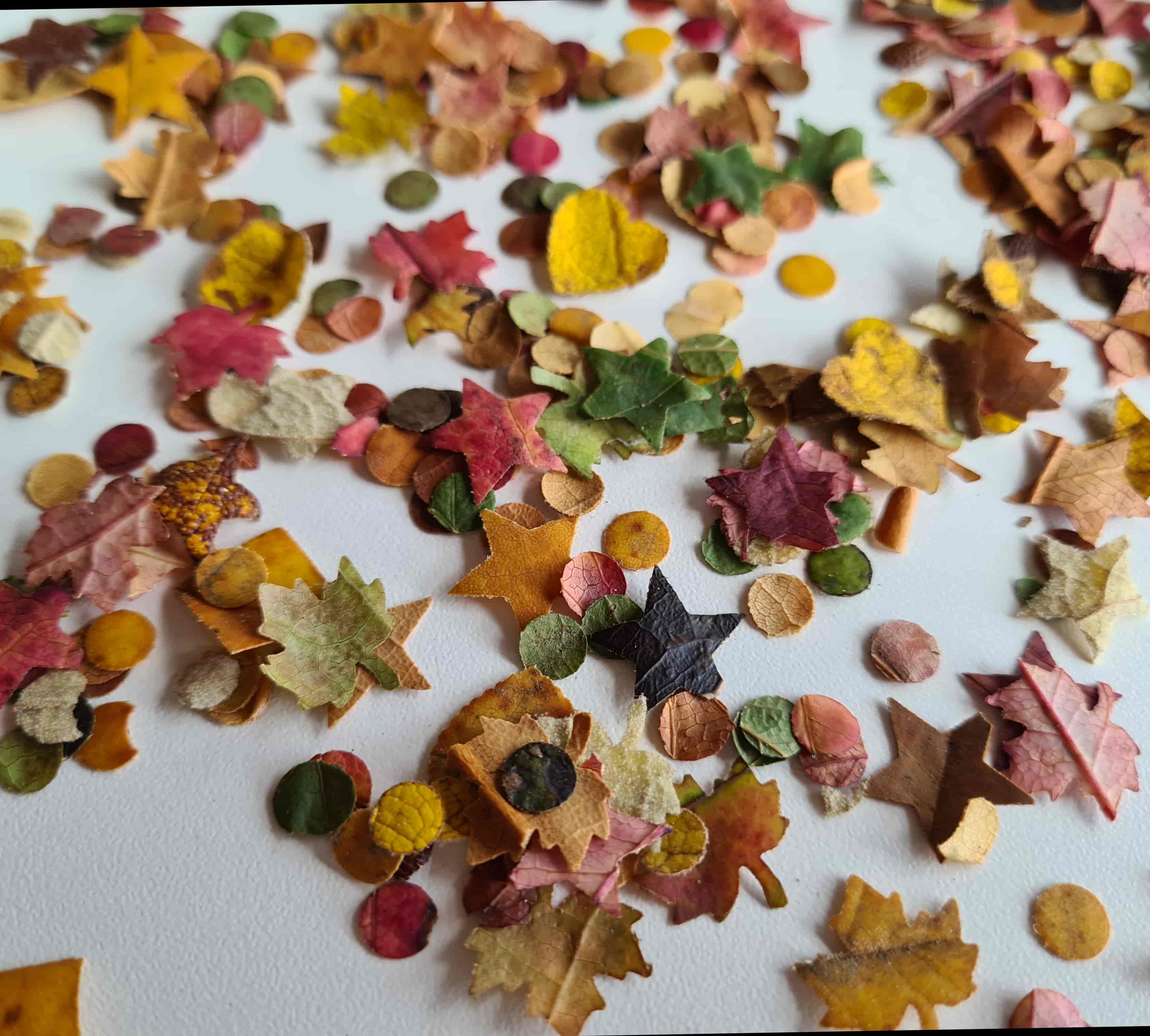 Imagem do evento Família no Museu: “Confete Ecológico”