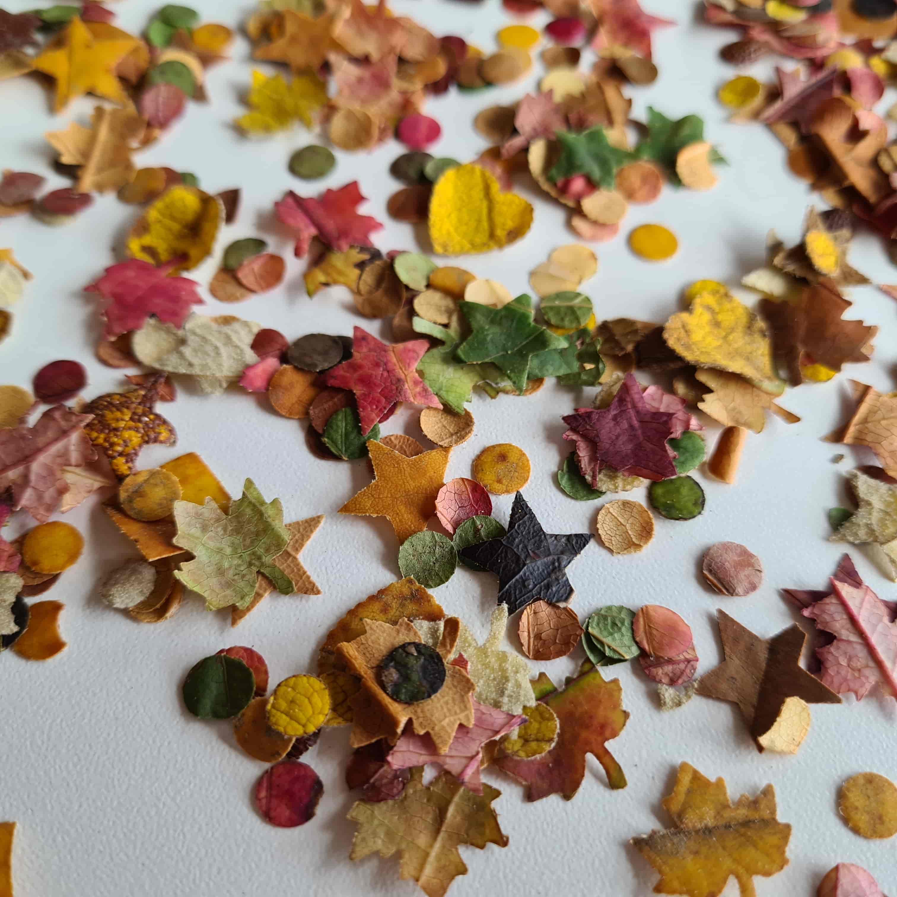 Imagem do evento Família no Museu: “Confete Ecológico”