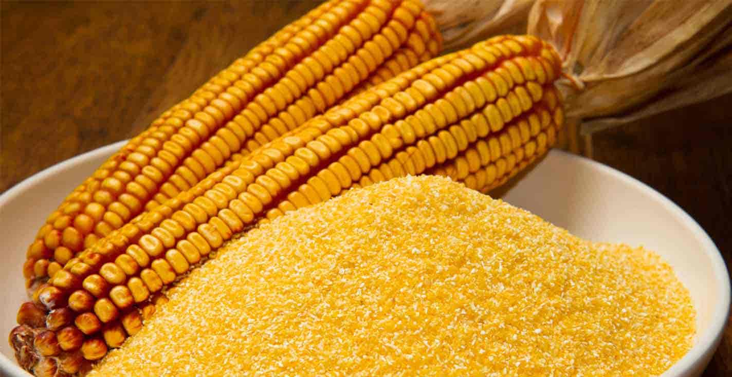 Imagem do evento Saberes e Fazeres na Casa de Portinari