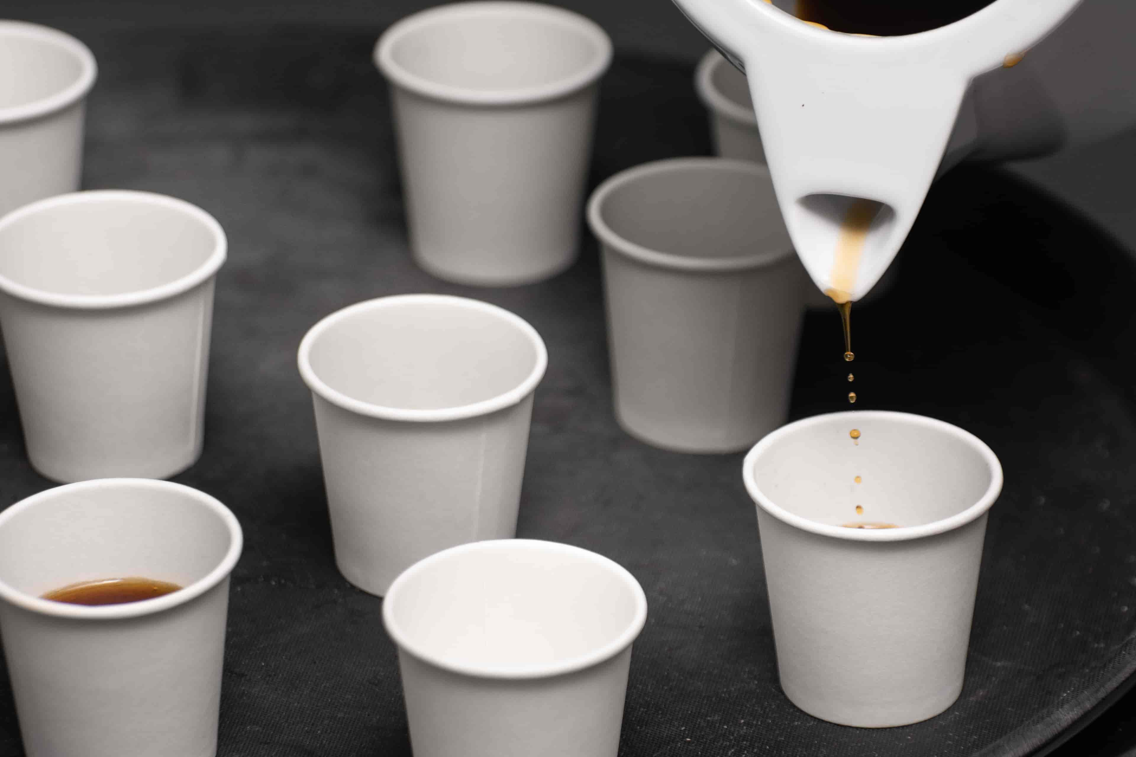 Imagem do evento Degustações de Café