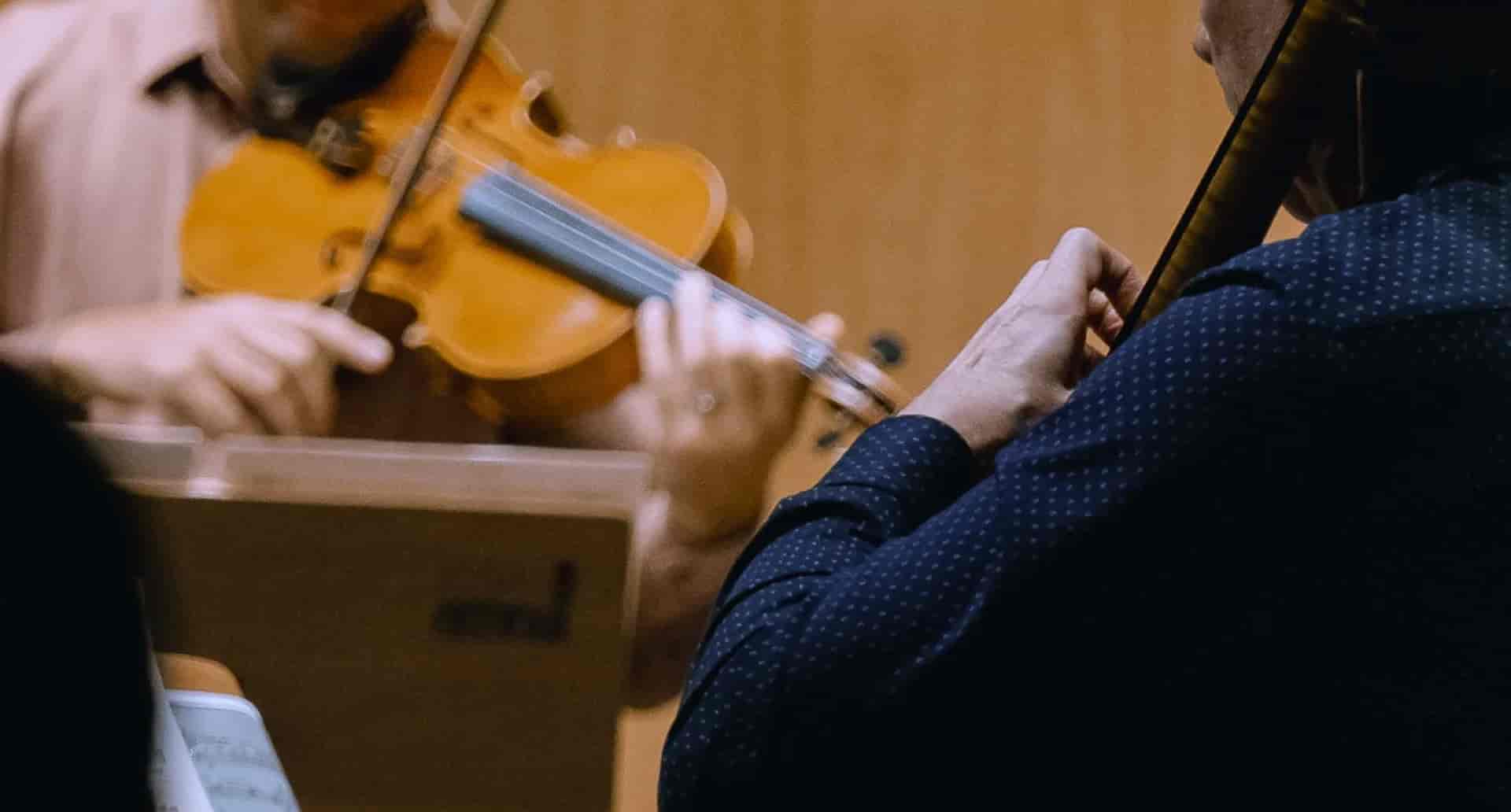 Imagem do evento Câmara: Quarteto de cordas de Beethoven e música para dança e teatro