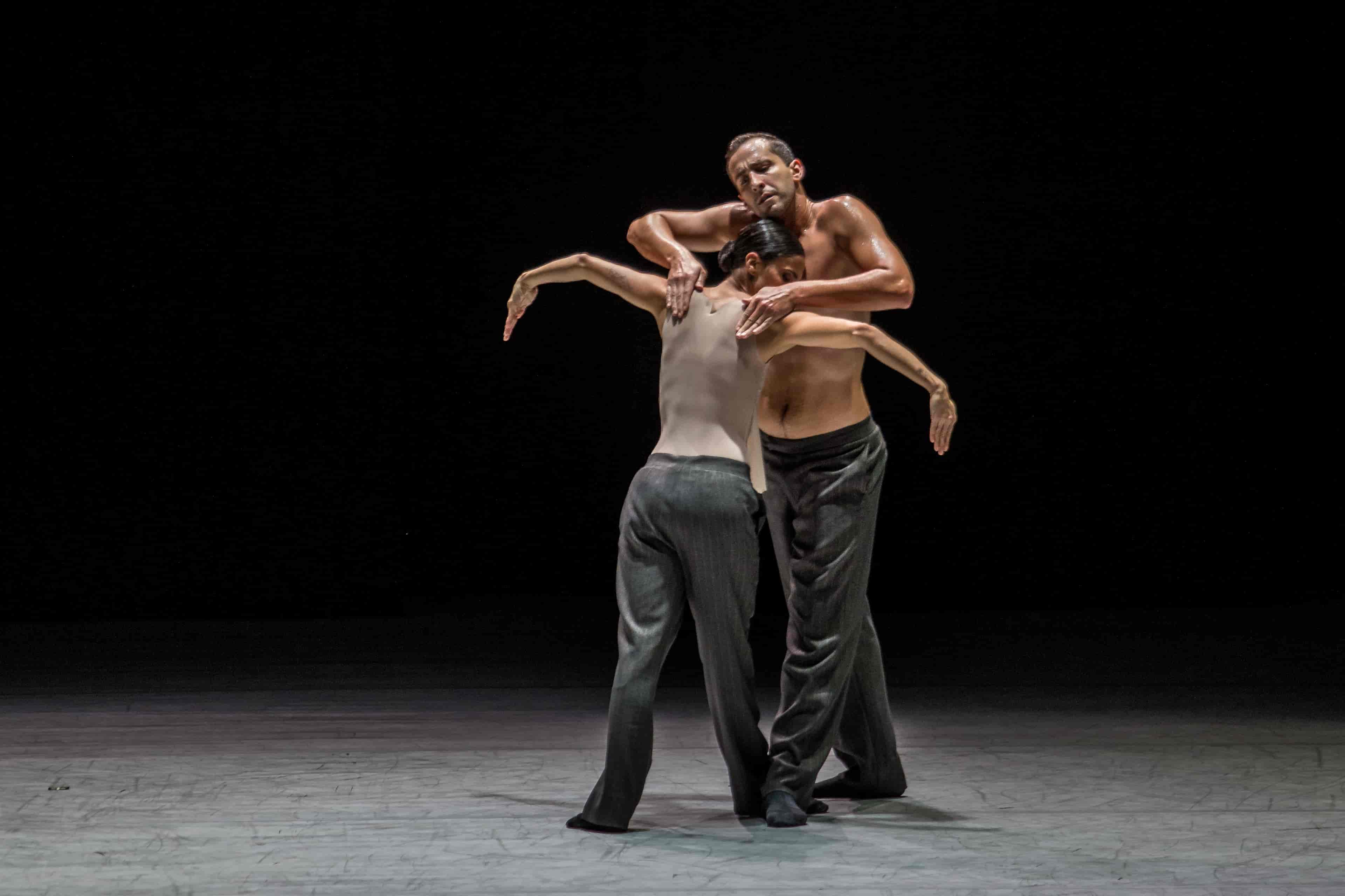 Banner do evento SPCD - TEMPORADA 2024 - TEATRO SÉRGIO CARDOSO