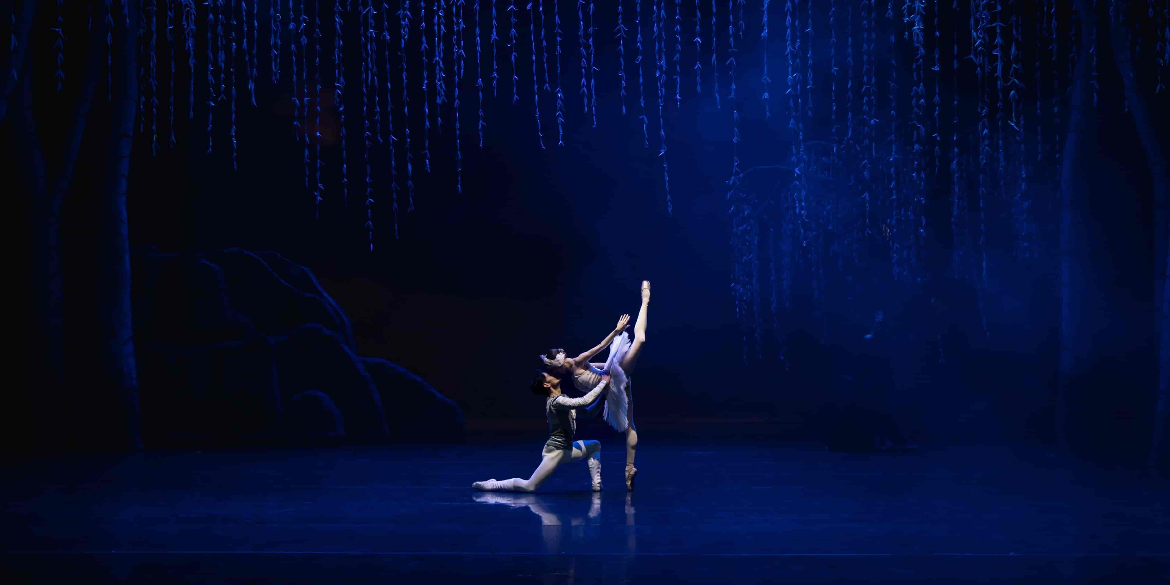 Banner do evento SPCD | TEATRO SÉRGIO CARDOSO - SÃO PAULO/SP