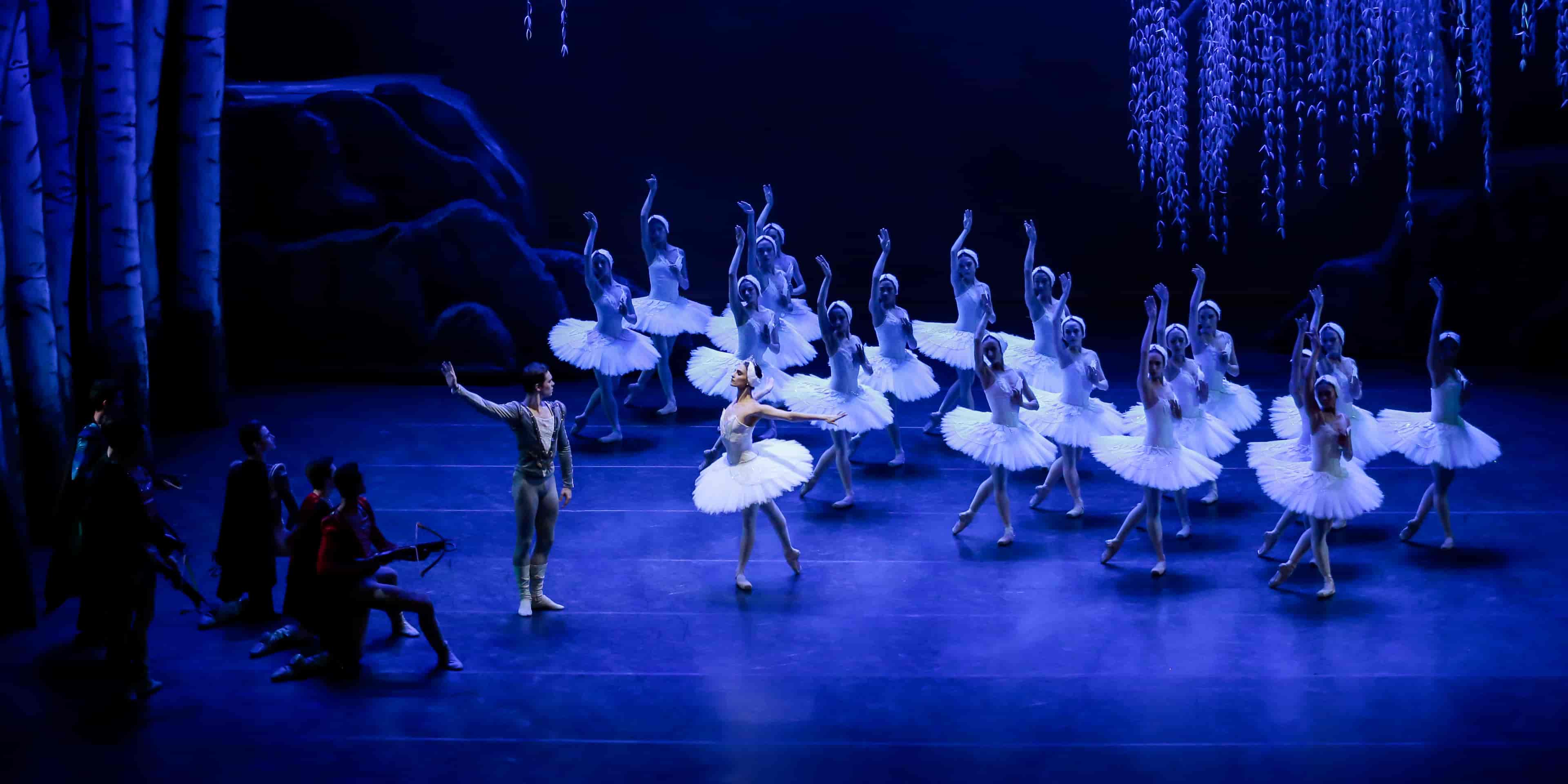 Banner do evento SPCD | APRESENTAÇÃO NA SALA SÃO PAULO - SÃO PAULO/SP