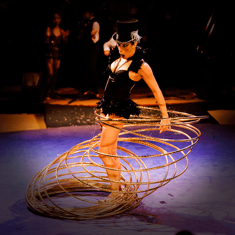 Banner do evento Circo Zanni