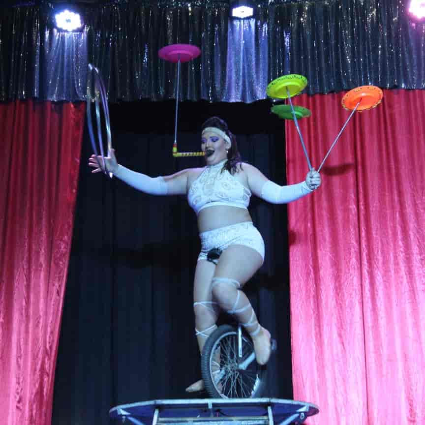 Banner do evento União Circo