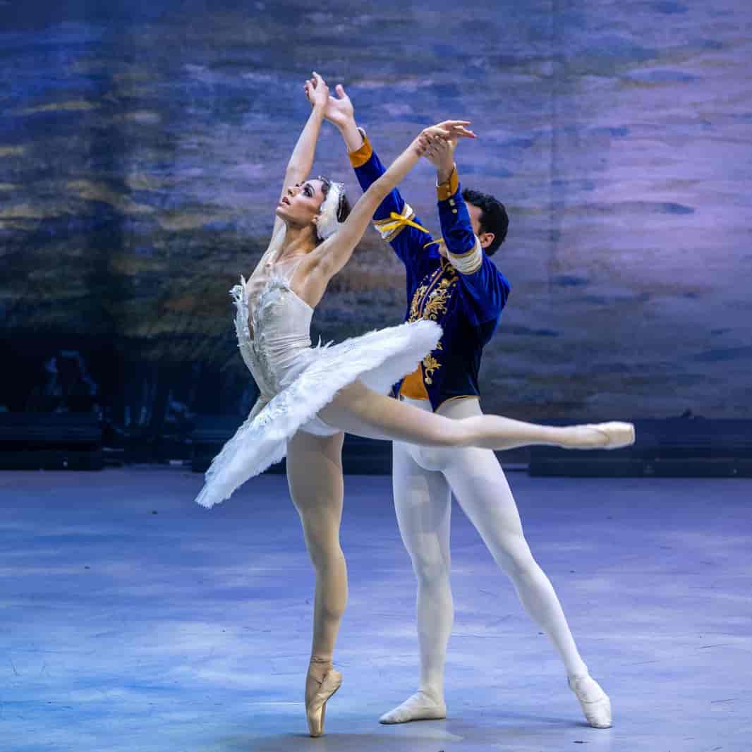 Banner do evento O Lago dos Cisnes