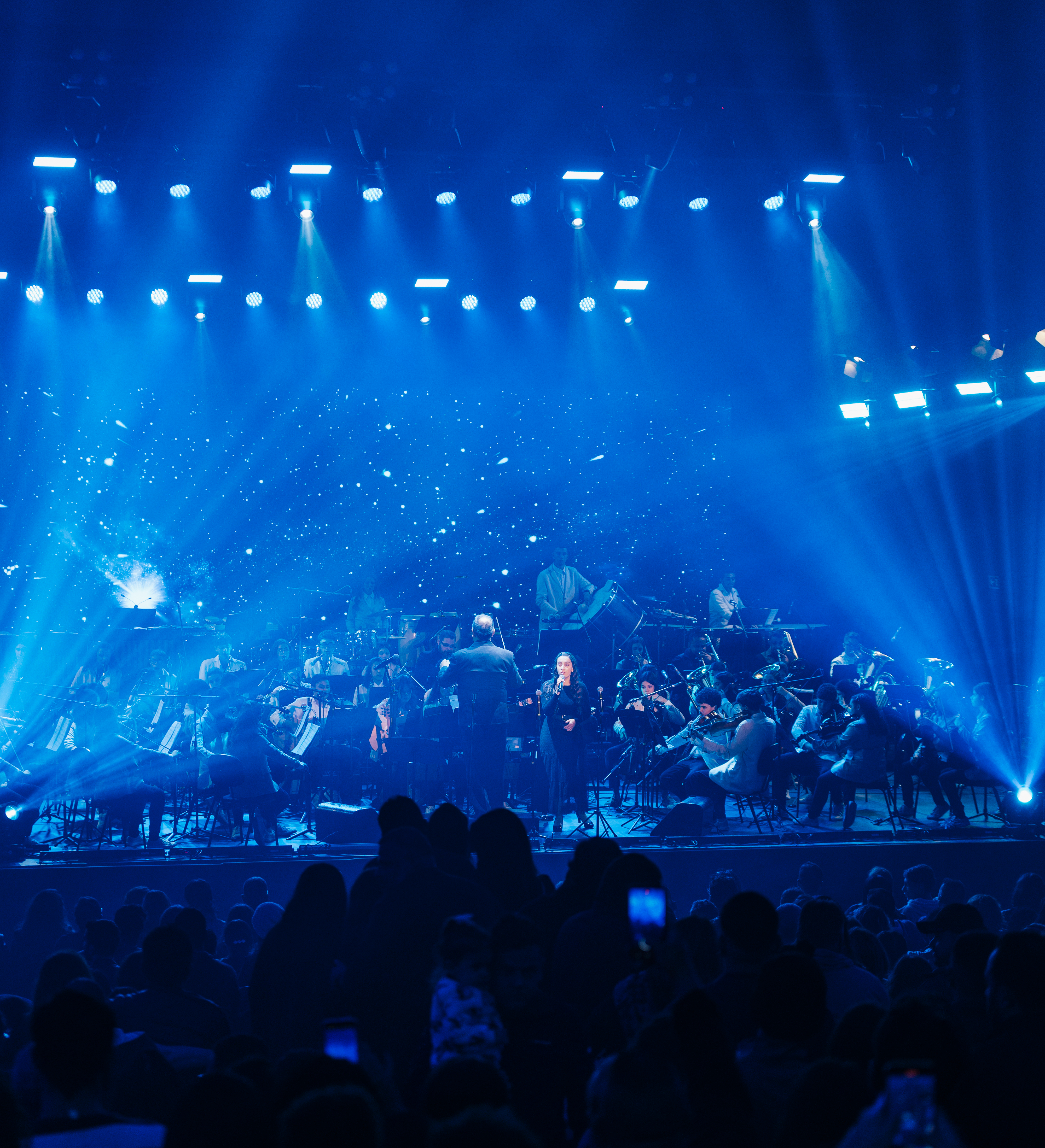 Banner do evento Arte no Outono 2025 - Orquestra Livre da Fundação Lia Maria Aguiar