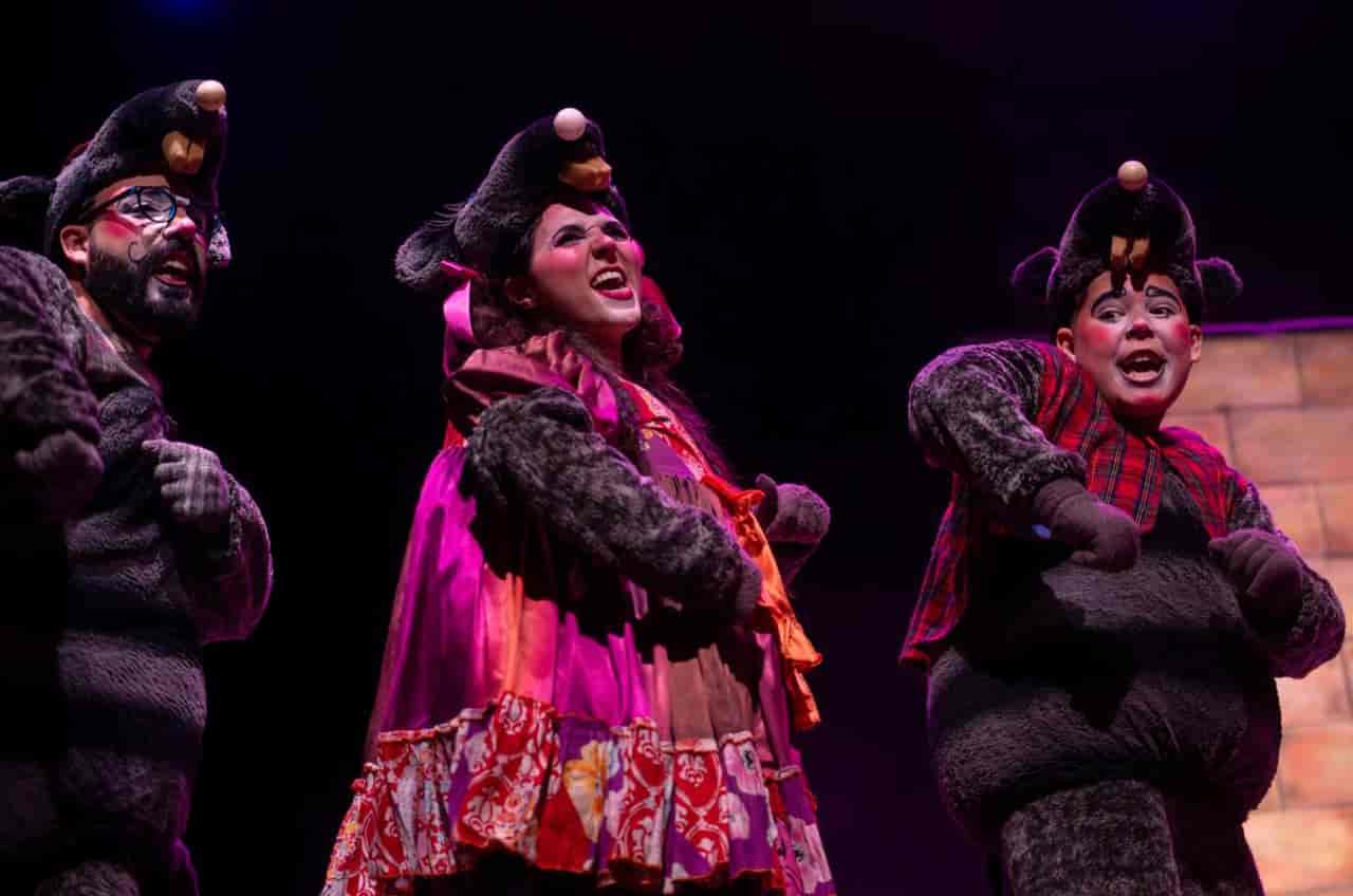 Banner do evento Cinderela, A Gata Borralheira