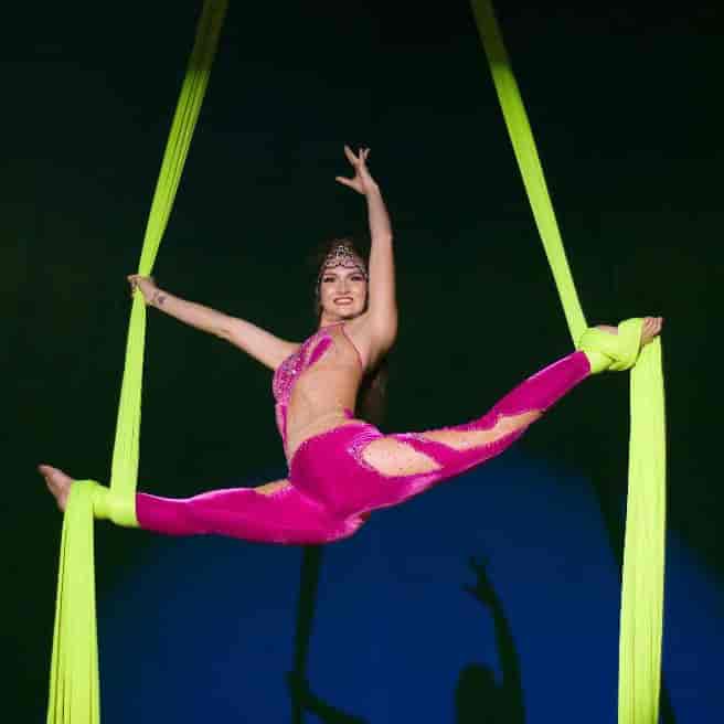 Banner do evento Circo de Roma Tradição