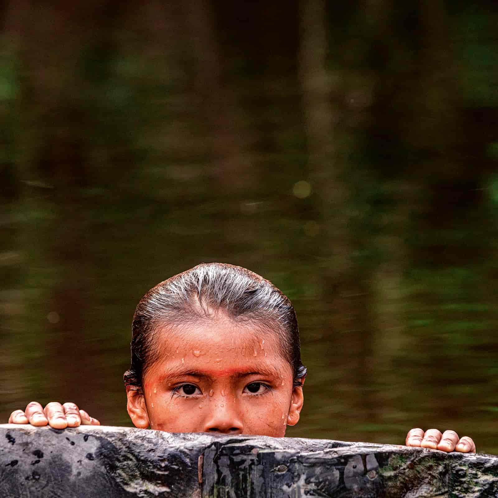 Banner do evento Lançamento | Documentário e livro “Os últimos filhos da floresta”  