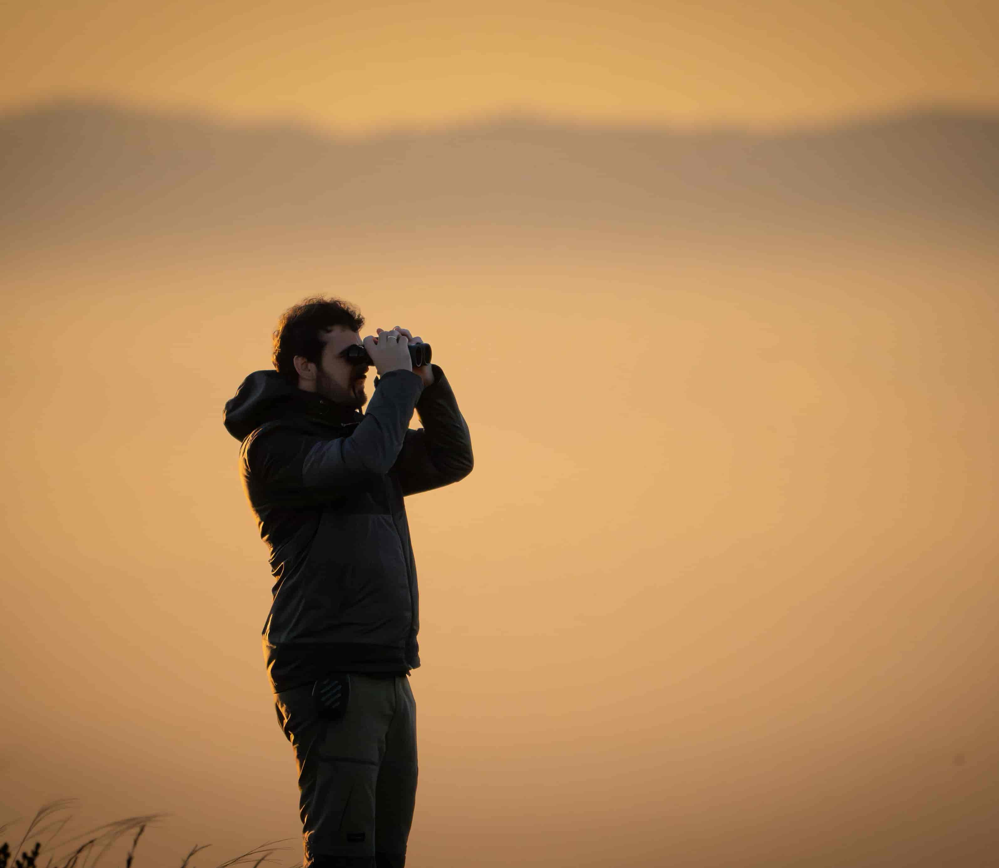 Banner do evento Férias no Museu: "Uma Noite no Museu - Observação de Corujas"