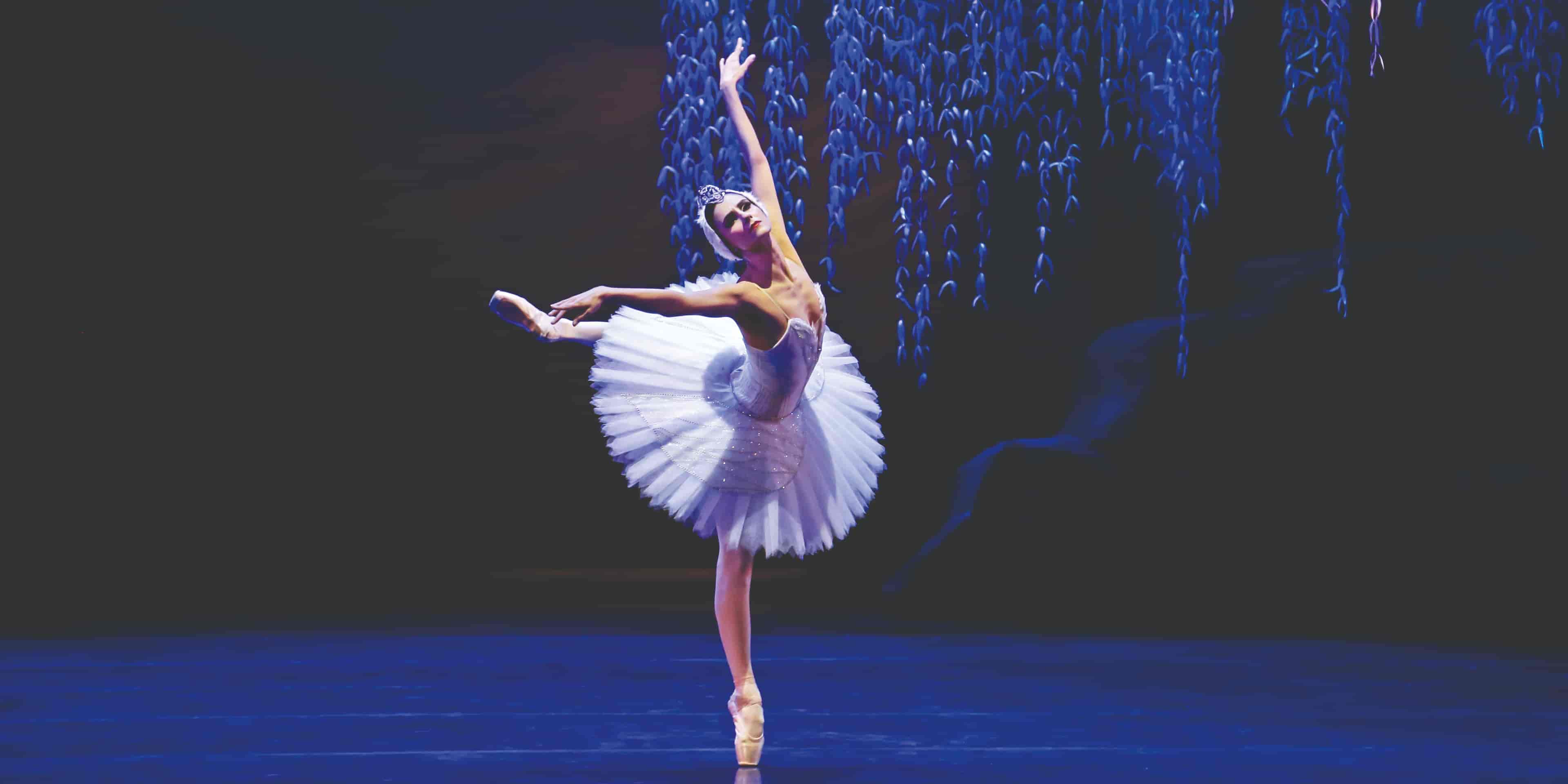 Banner do evento SPCD | APRESENTAÇÕES GRATUITAS NO 25º FESTIVAL DE DANÇA - SÃO CAETANO DO SUL/SÃO PAULO