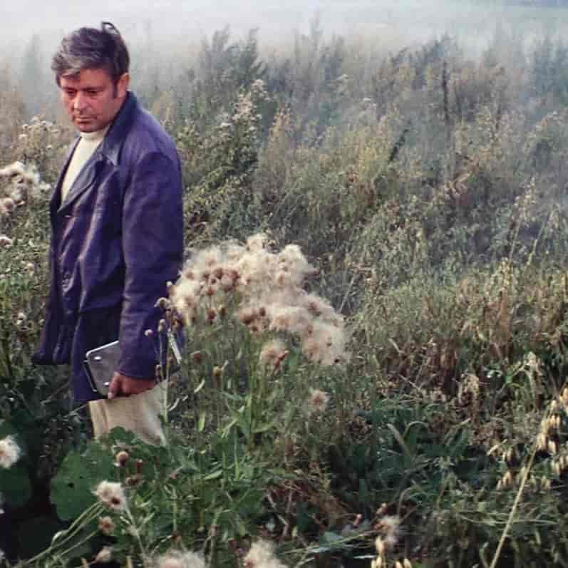 Banner do evento CineCiência | Solaris