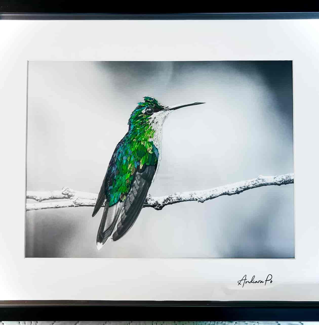 Imagem do evento Lacerdine Galeria de Arte promove de 5 a 7/9 Horizontes Paralelos com obras de 11 artistas