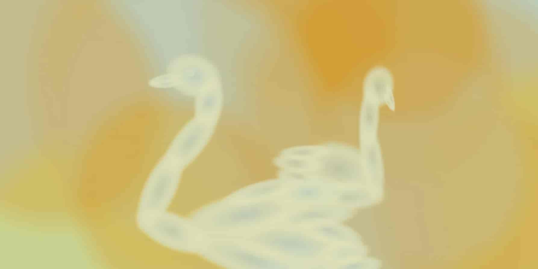 Banner do evento  Festival da Criança: "O lago dos cisnes" de Tchaikovsky