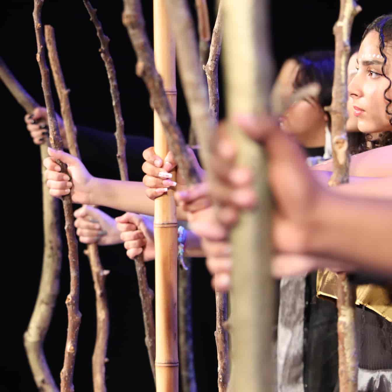 Banner do evento Projeto de Espetáculo - Temporada 2025 - NA BIENAL