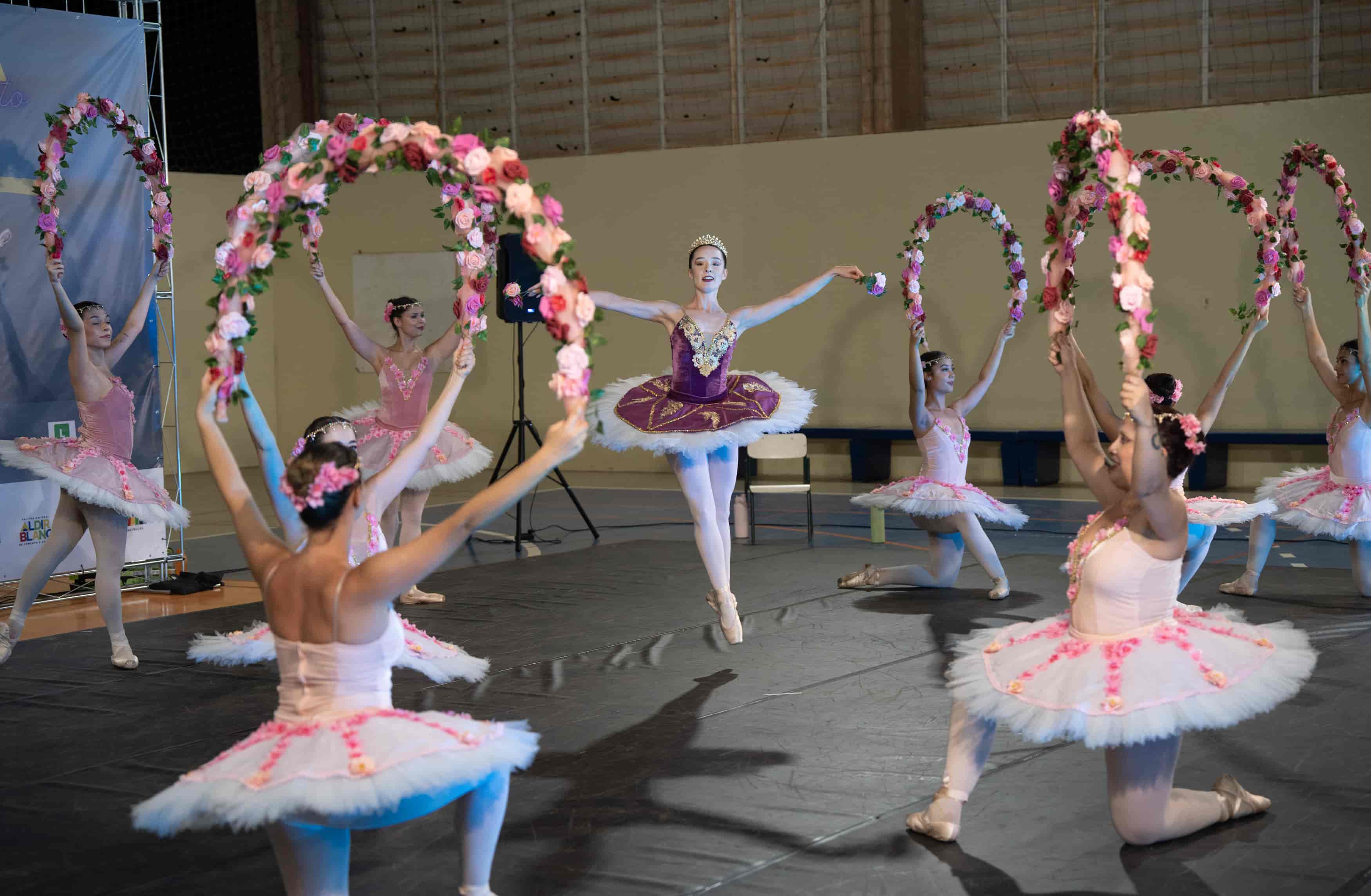 Banner do evento Cia de Ballet do Instituto Arnea leva espetáculos gratuitos de dança a escola estadual de Campinas