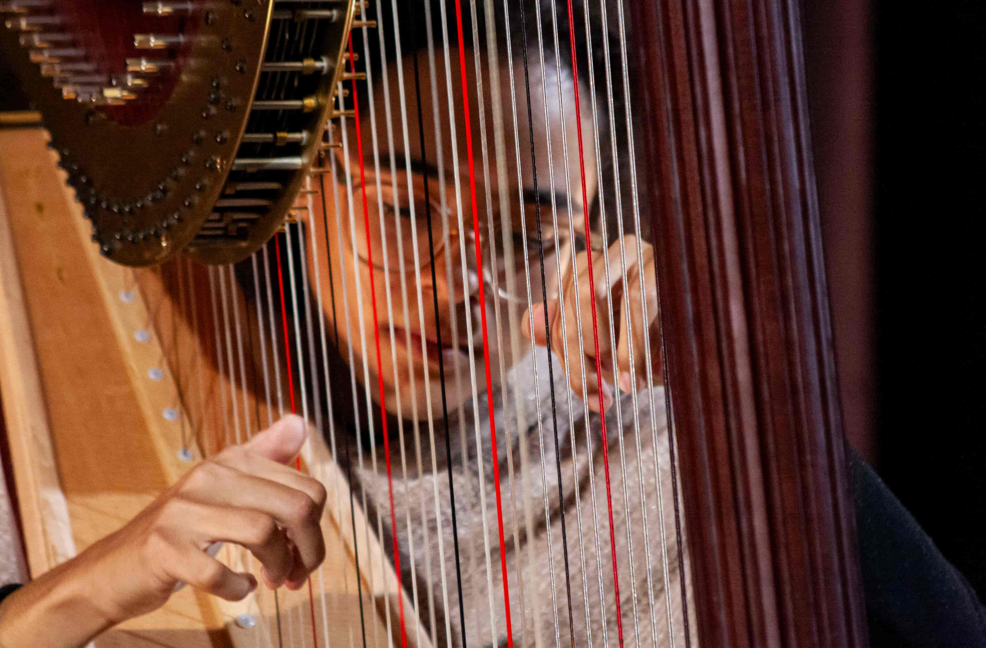 Banner do evento  Recital de Estudantes/Harpa