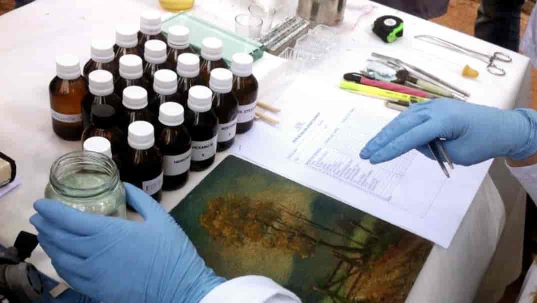 Imagem do evento CONSERVAÇÃO E RESTAURAÇÃO DE PINTURA SOBRE CAVALETE – MÓDULO I – 2026