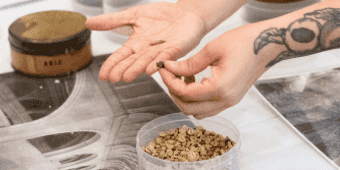 Banner do evento Programa Sejam Bem-Vindos | Bagagem do Saber