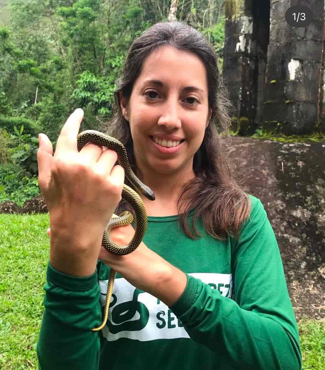 Imagem do evento Curso: “Animais Venenosos e Peçonhentos”