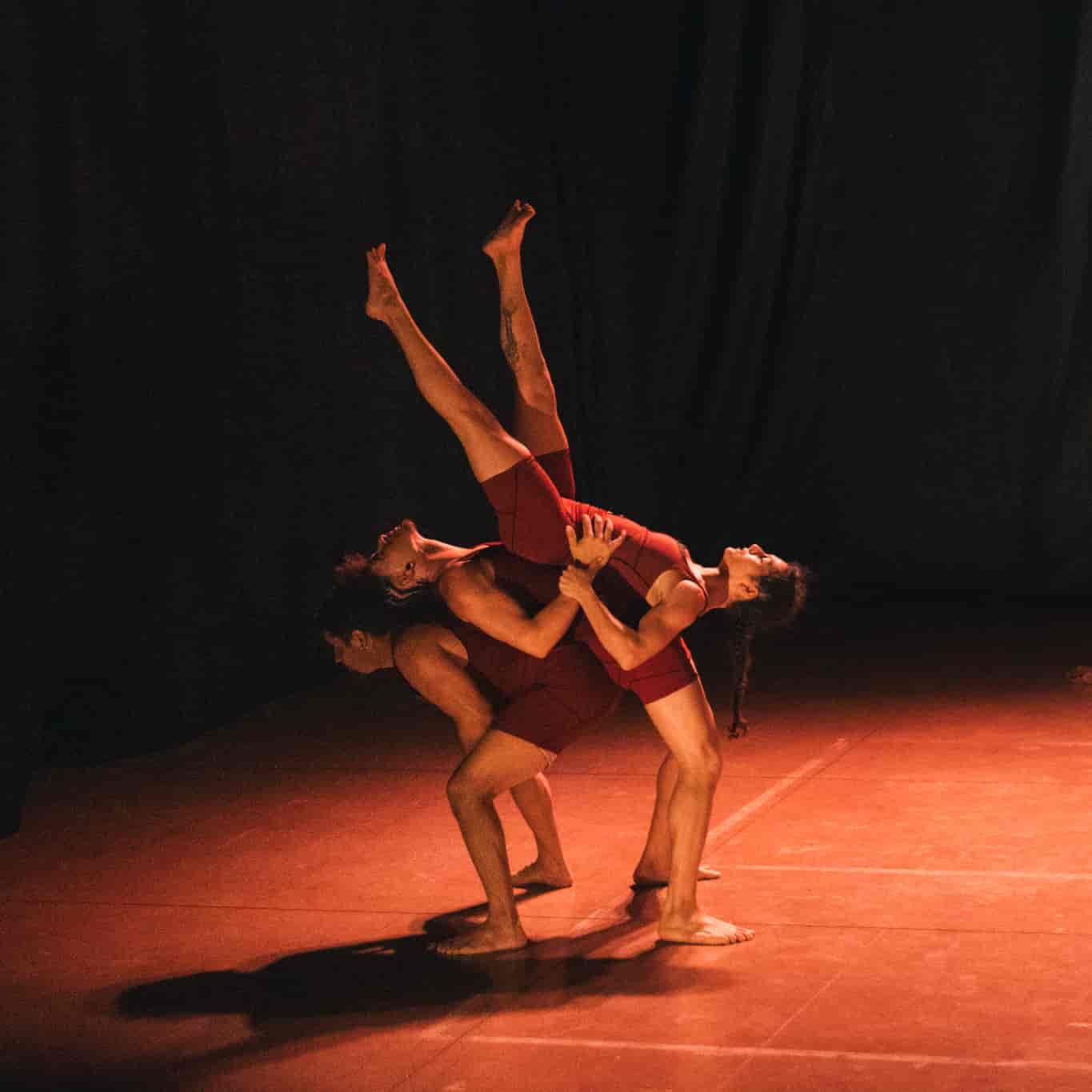 Imagem do evento RESIDÊNCIA - PESQUISA E CRIAÇÃO EM ACROBACIAS AÉREAS por Coletivo Faunos e Flora - Campinas-SP