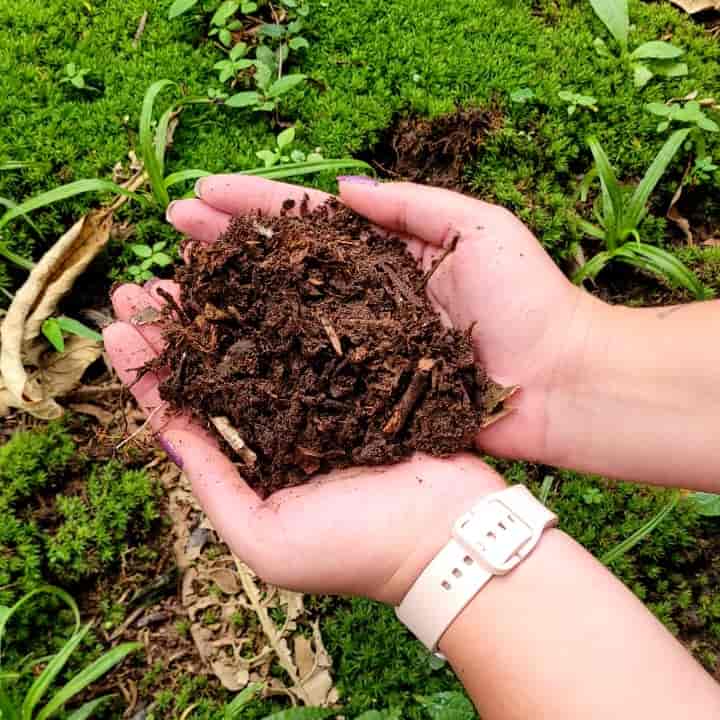 Virtual Environmental Tour: Soil as a Living Ecosystem