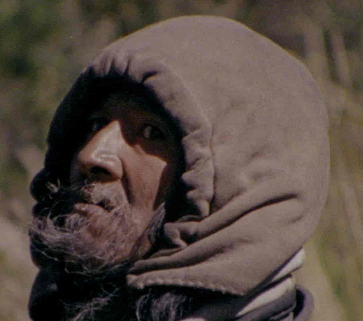 Cine Bibi/O grande movimento