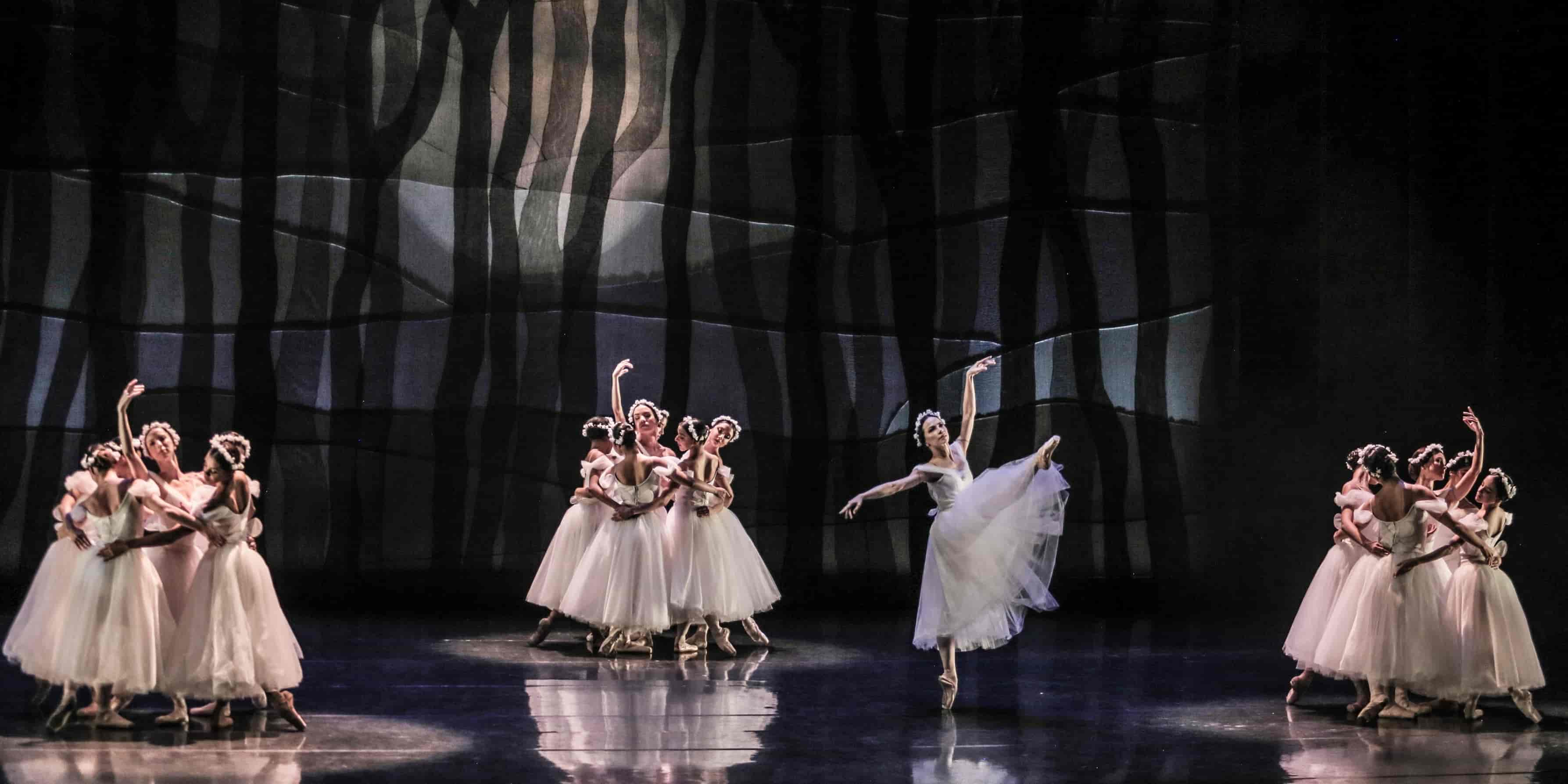 Imagem do evento SPCD | TEATRO SÉRGIO CARDOSO - SÃO PAULO/SP