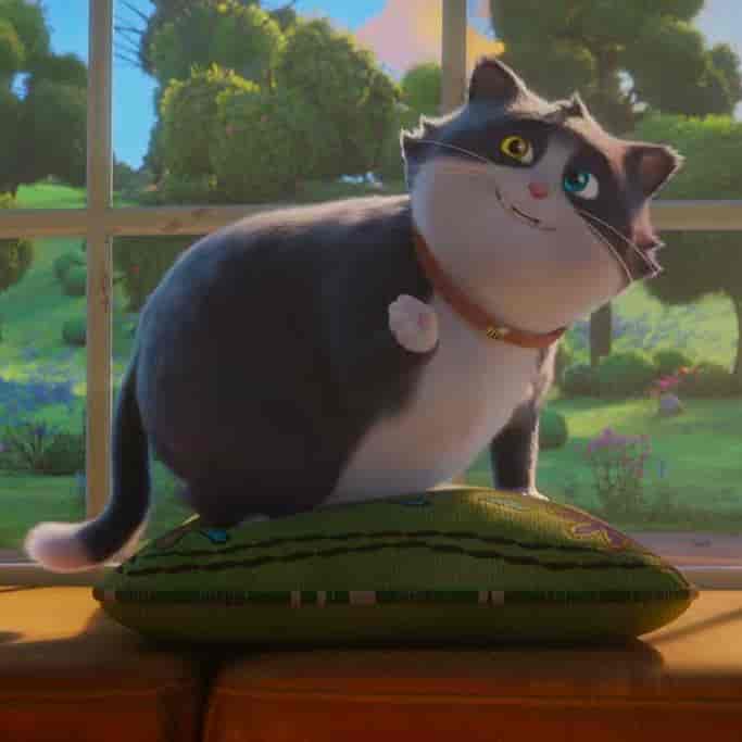 Banner do evento Cine Kids | Um gato de Sorte