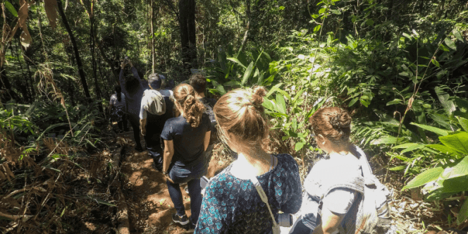 Banner do evento 7ª Caminhada Histórico Ecológica da APA do Carmo