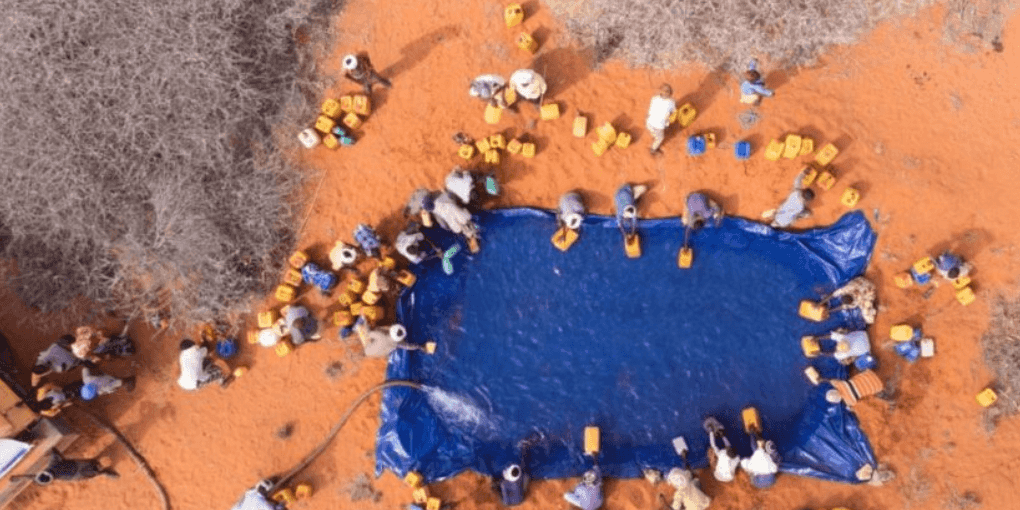 Imagem do evento Curso | Mova-se! Emergência climática para além do fim do mundo