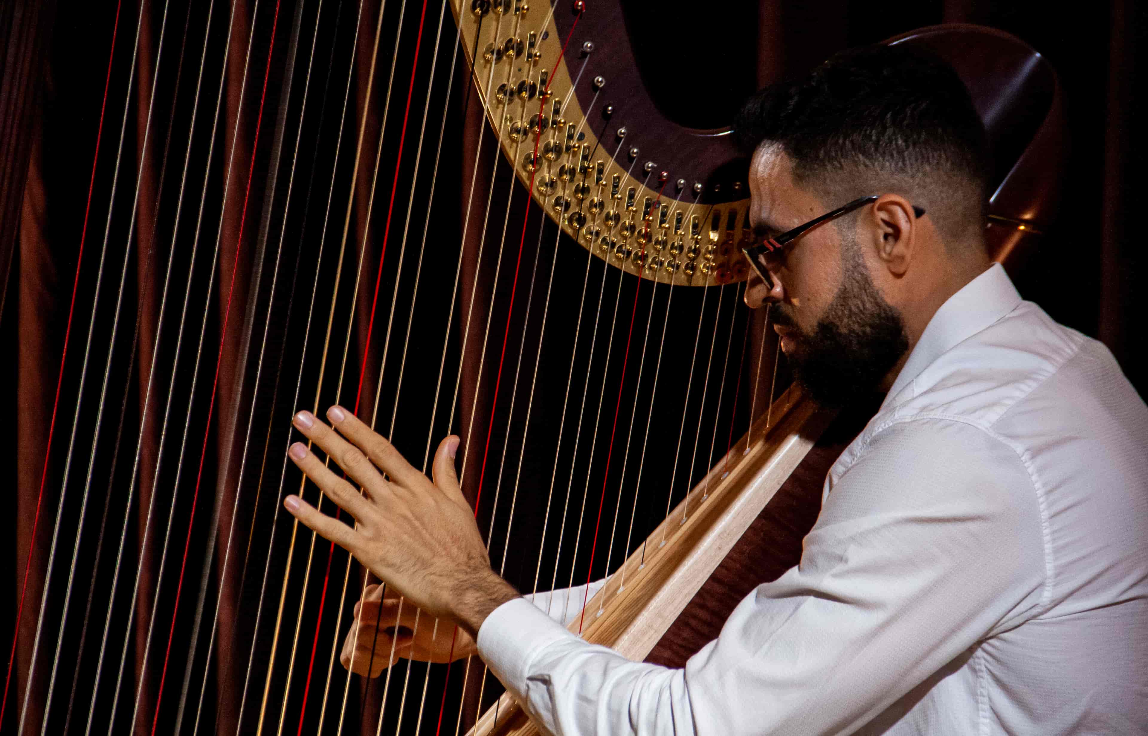 Imagem do evento Recital de Estudantes: Harpa