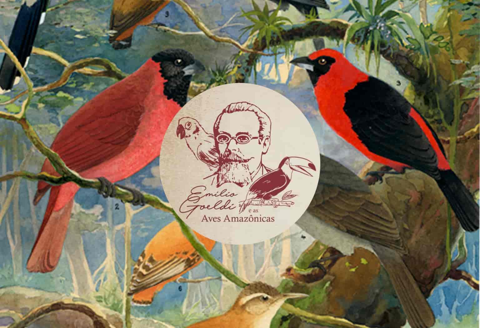 Imagem do evento Exposição Emilio Goeldi e as Aves Amazônicas em Realidade Aumentada