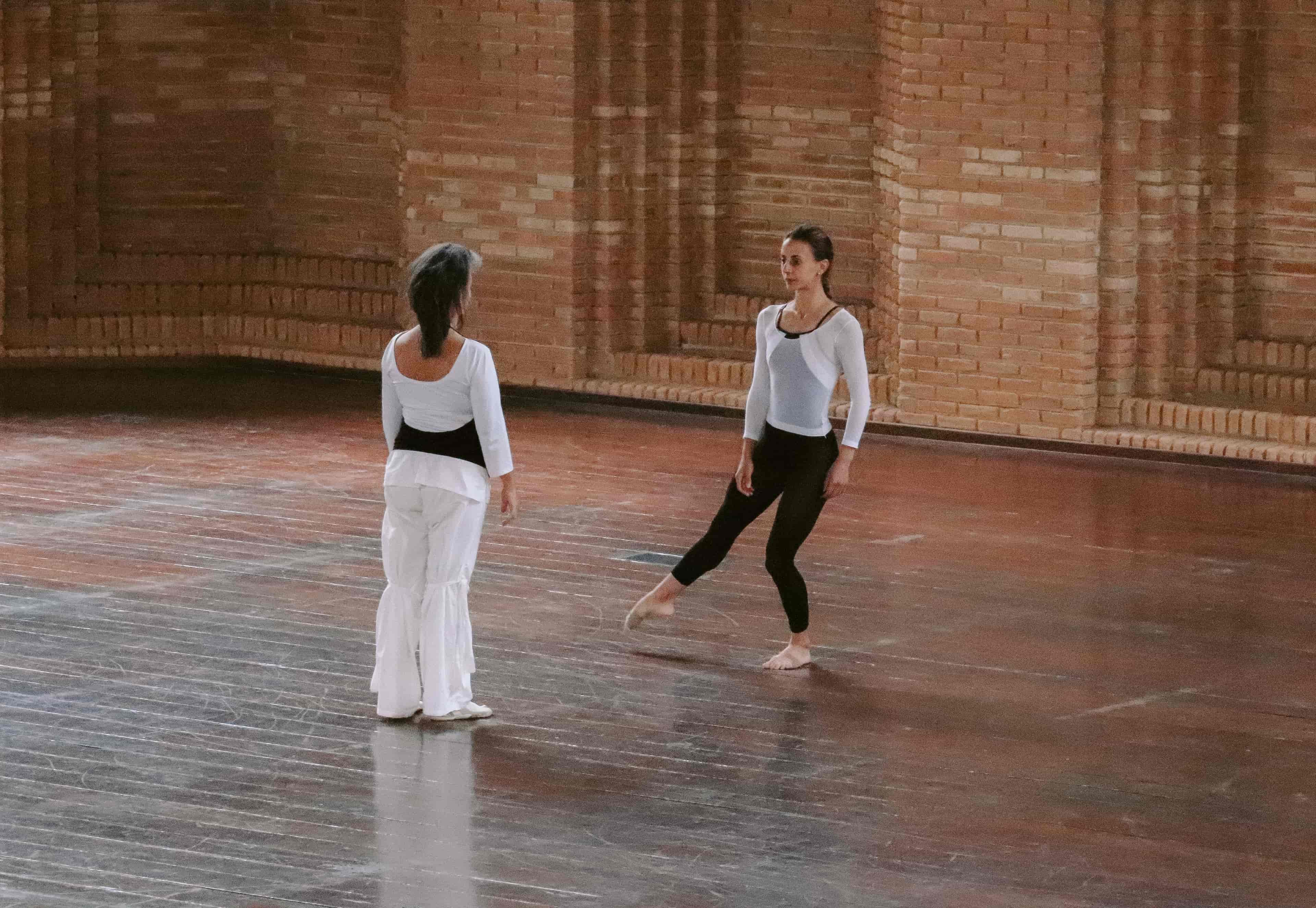 Imagem do evento Ensaio Aberto no Auditório: “Ensaio de Dança com Grupo Olharte Cultura”